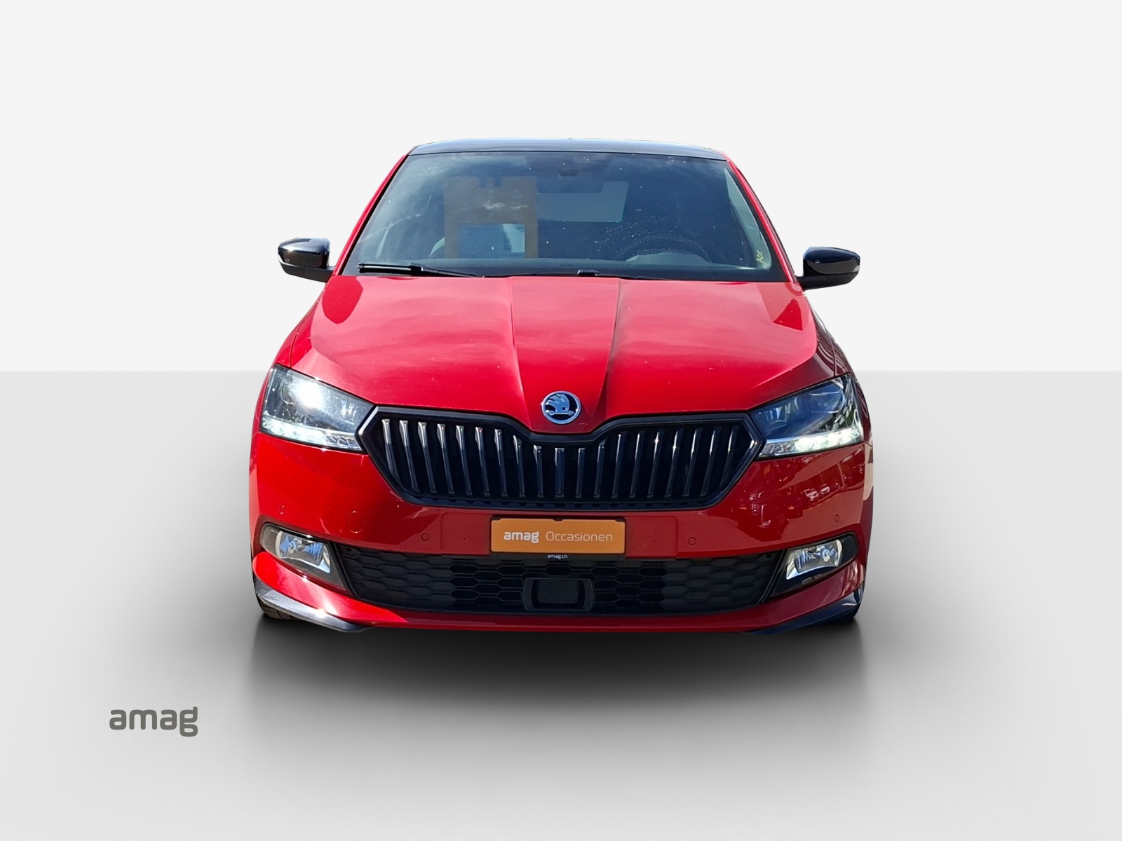 SKODA Fabia 1.0 TSI Monte Carlo DSG-image-6