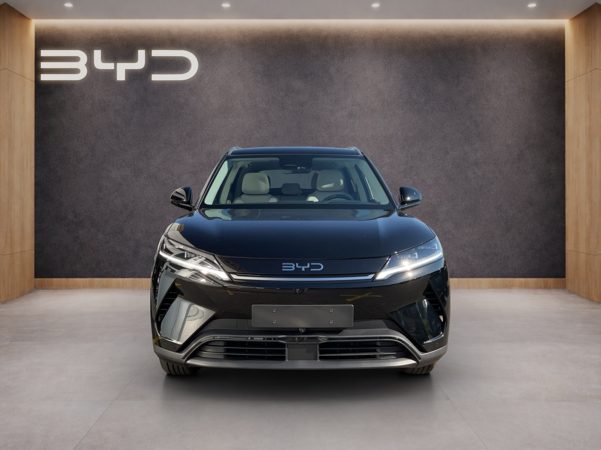 BYD Atto 2 Comfort-image-1