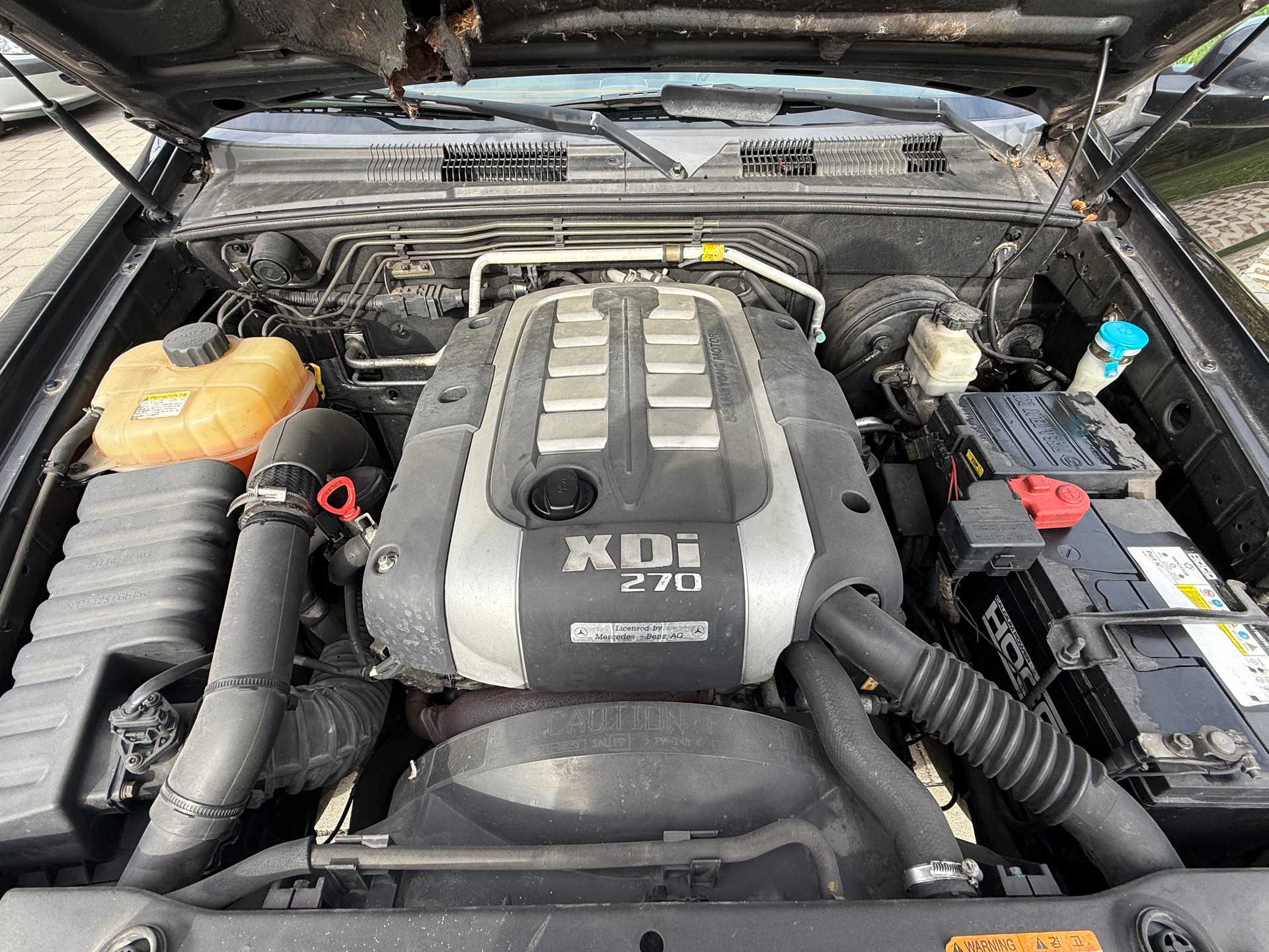 KGM-SsangYong Rexton RX 270 Xdi Trend-image-11