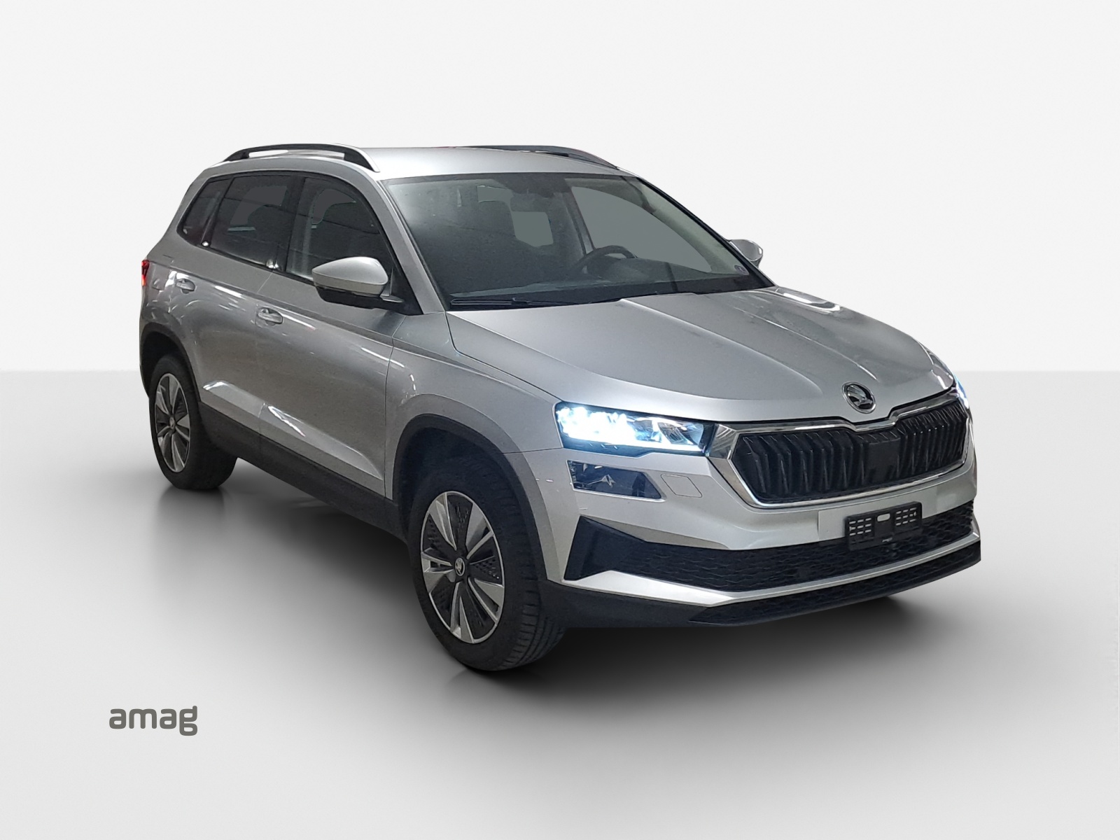 SKODA Karoq 1.5 TSI Ambition DSG-image-5