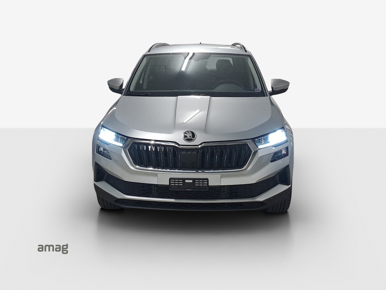 SKODA Karoq 1.5 TSI Ambition DSG-image-6
