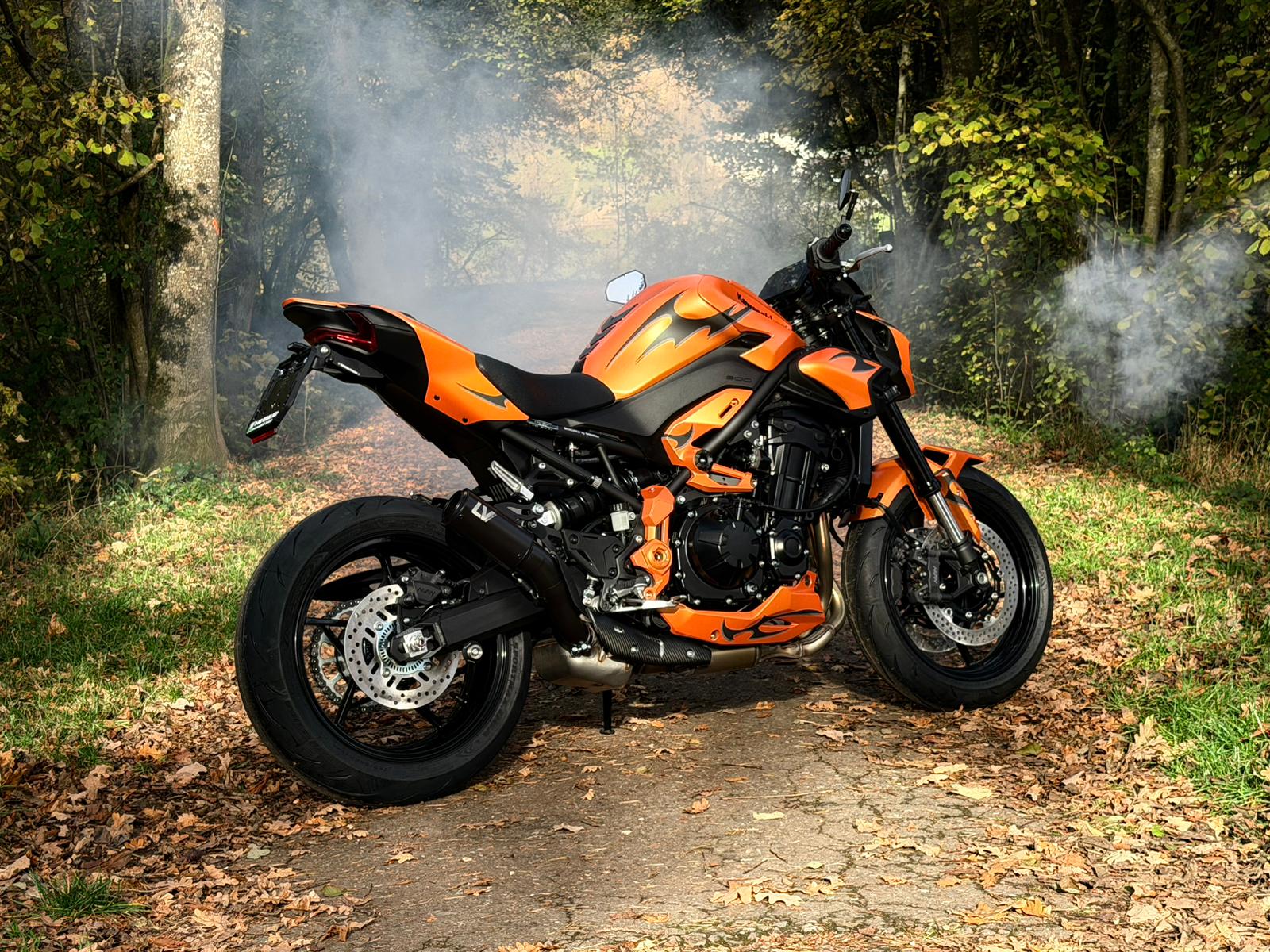 KAWASAKI Z 900 (91/70/35 KW) *Fair Lady* Level 3-image-15