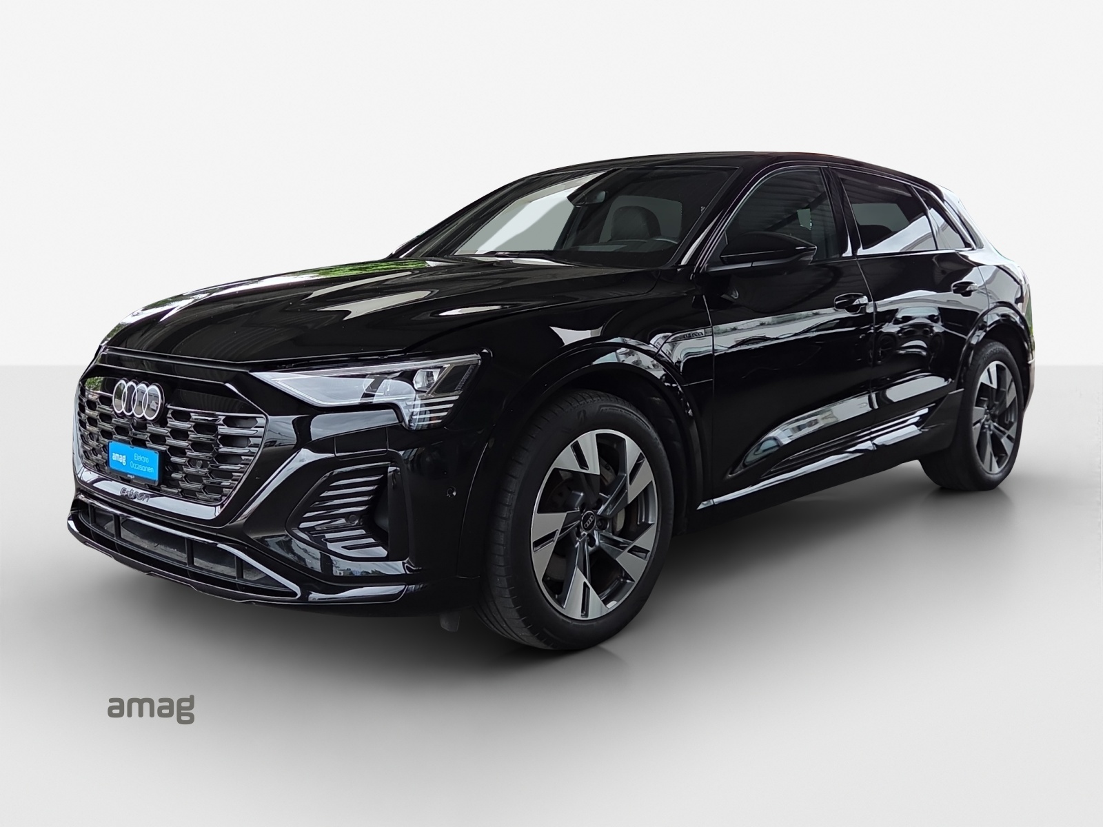 AUDI Q8 50 e-tron S line quattro-image-0