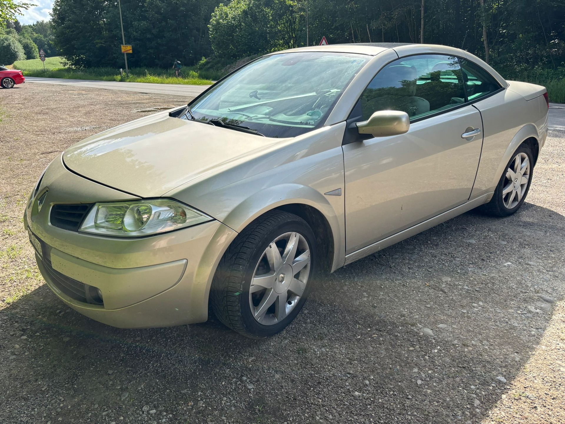 RENAULT 1.9 dCi FAP Exception-image-5
