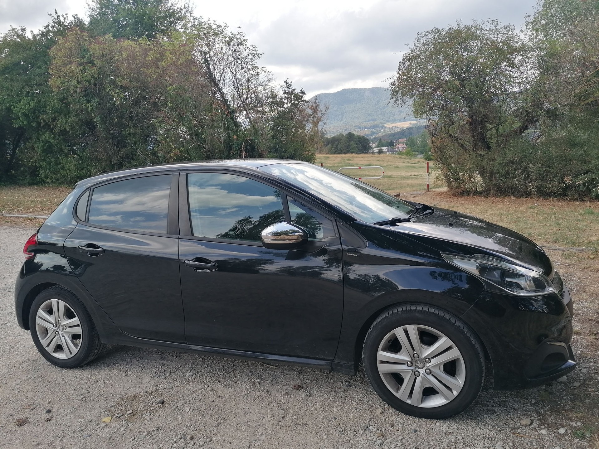 PEUGEOT 1.2 PureTech Active S/S-image-3