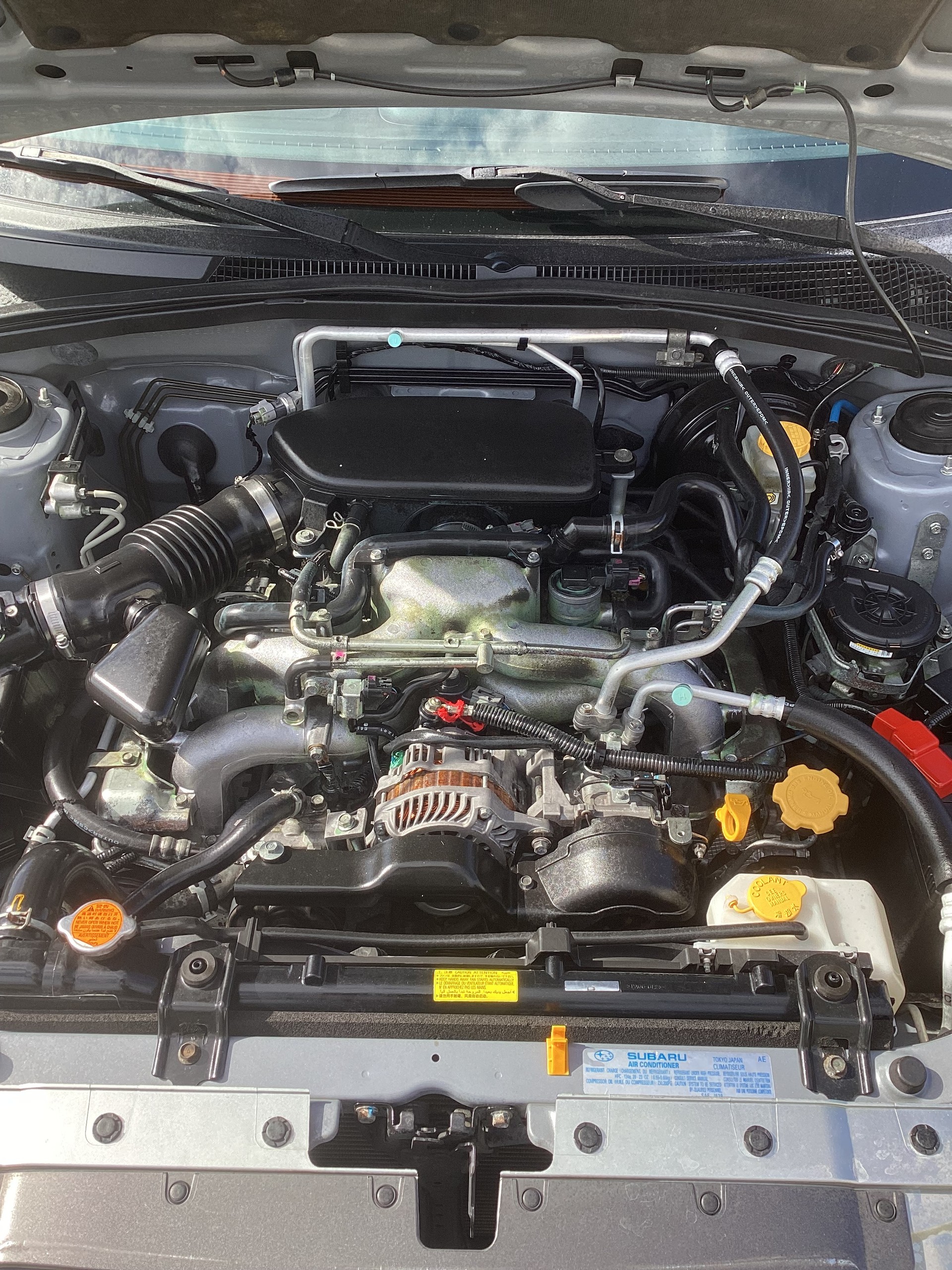 SUBARU 2.0 X Swiss-image-3