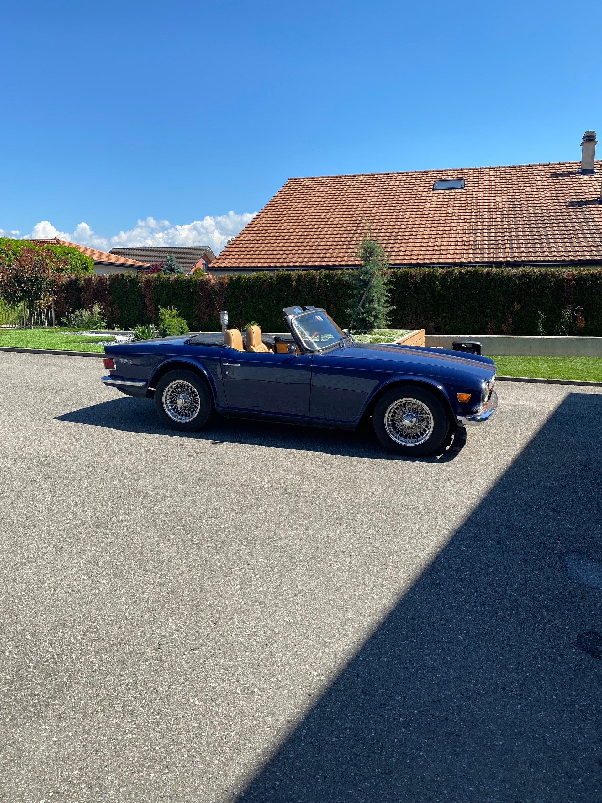 TRIUMPH TR6-image-5