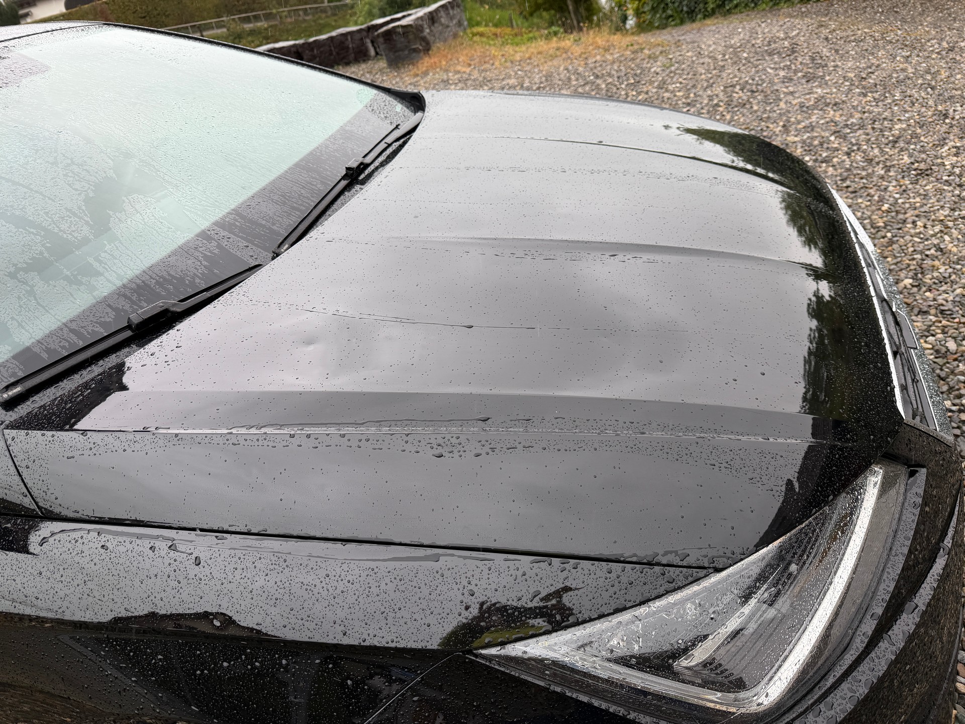 SEAT Ibiza 1.0 EcoTSI Swiss FR-image-6