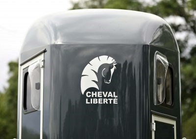 CHEVAL LIBERTE Pferdeanhänger Gold 3-image-11