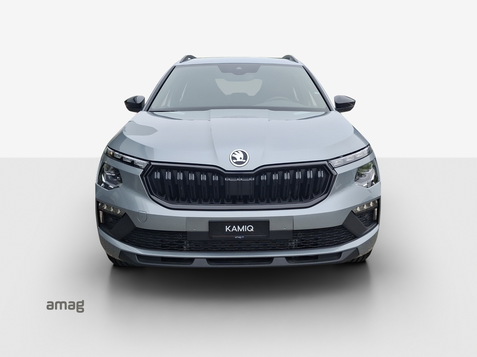 SKODA Kamiq 1.5 TSI Dynamic DSG-image-6