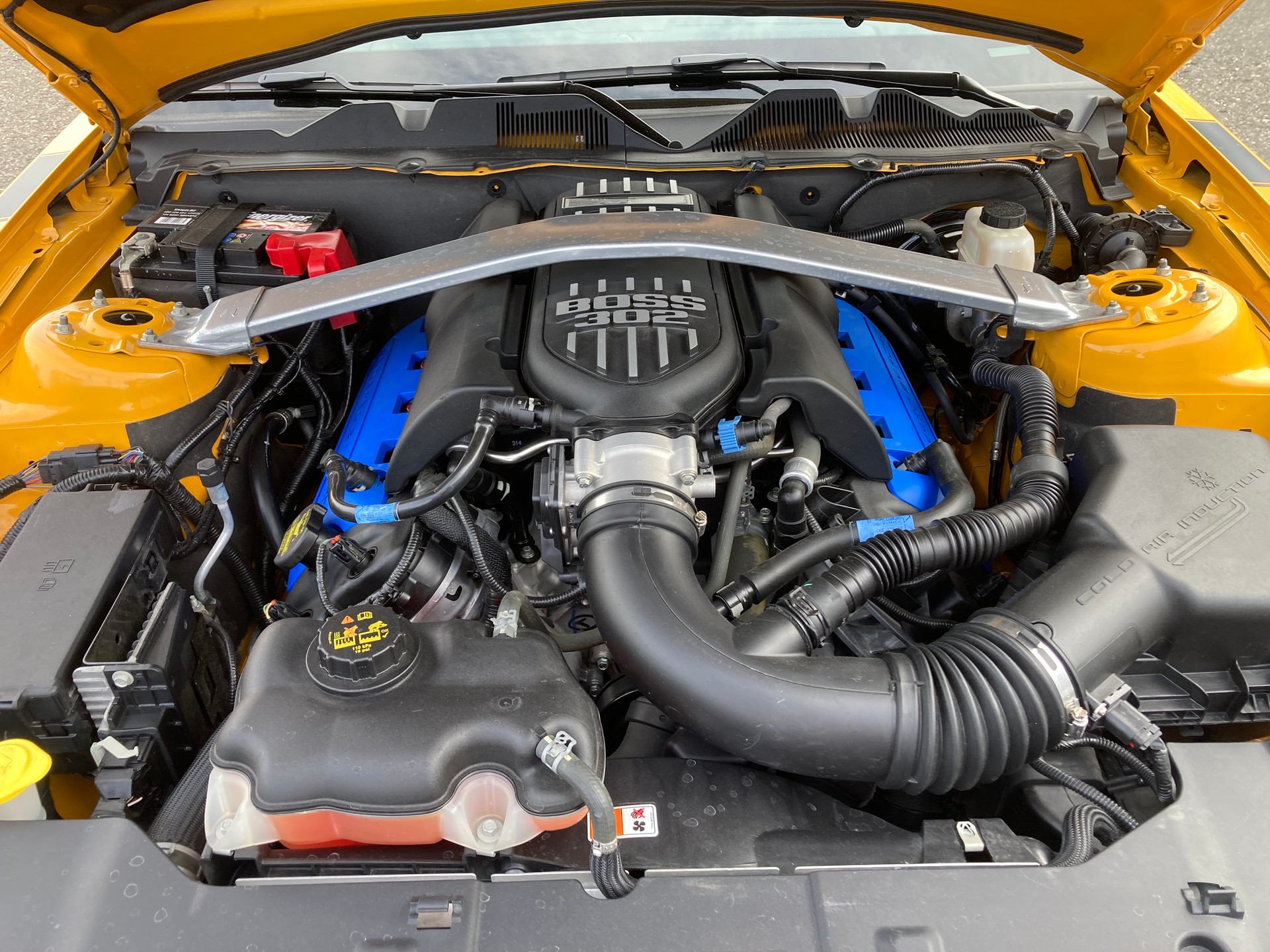 FORD GT 302 BOSS-image-5
