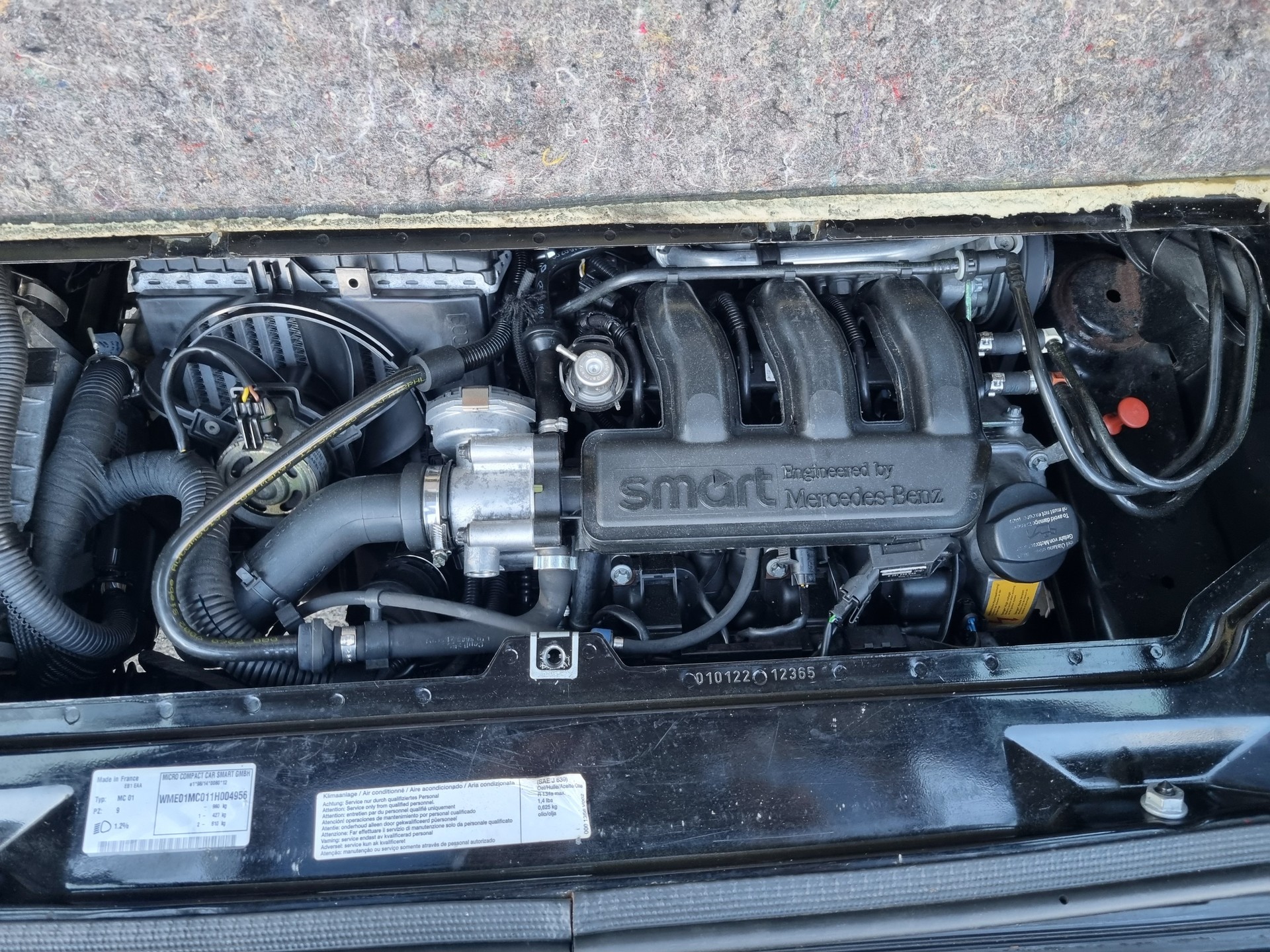 SMART fortwo pulse-image-6
