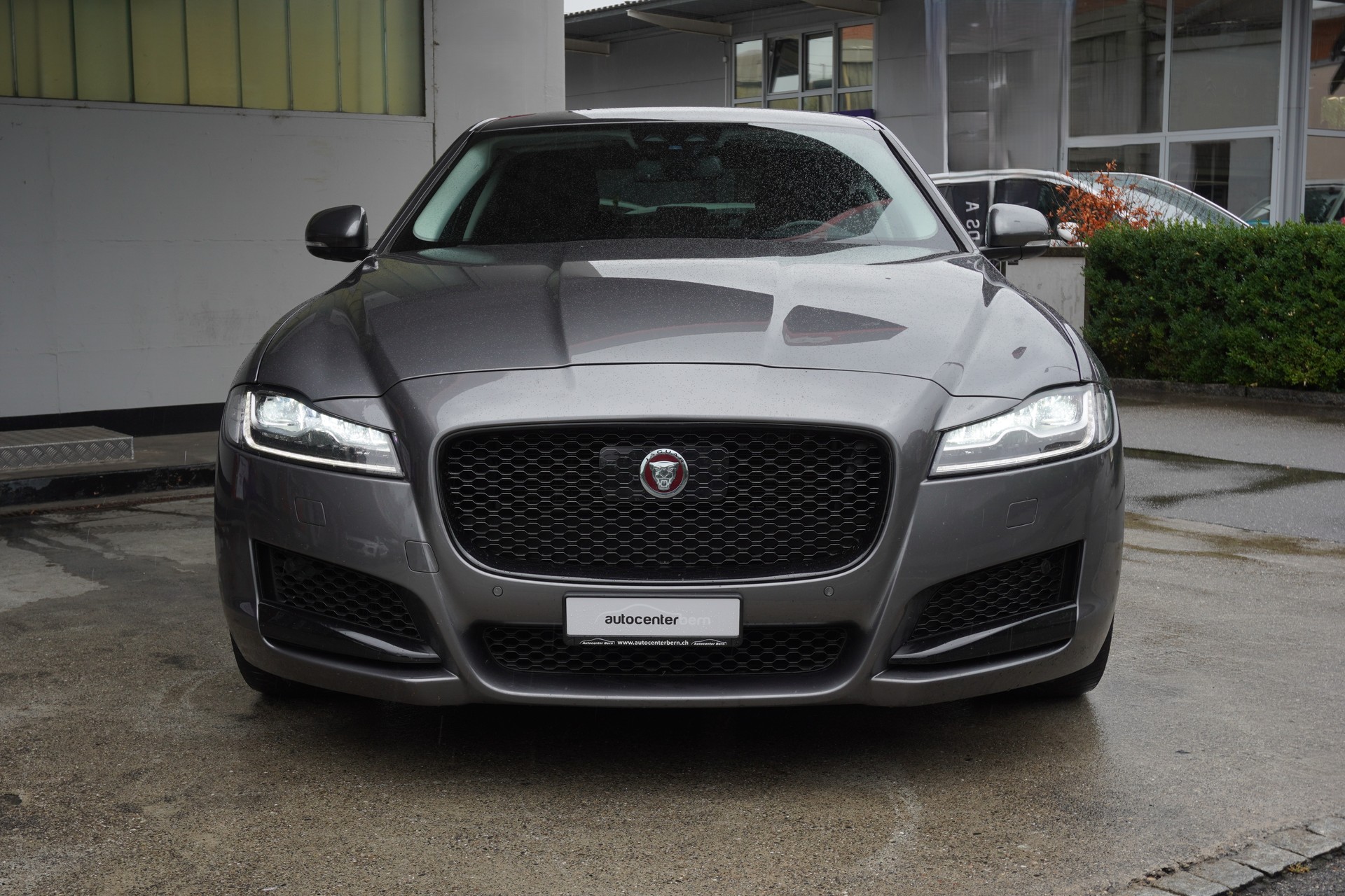 JAGUAR XF 30d Portfolio Automatic-image-2
