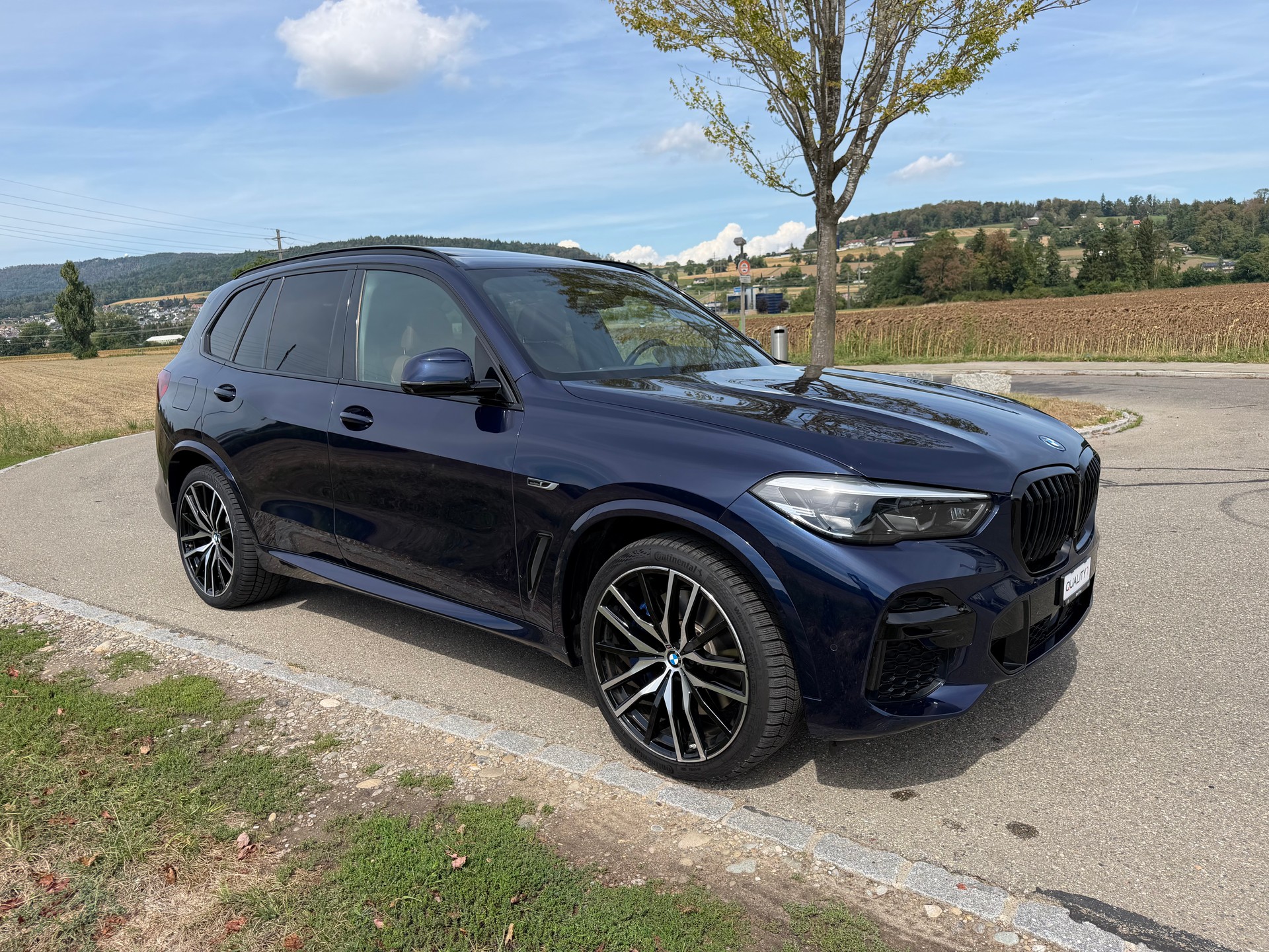 BMW X5 xDrive45e M Sport Steptronic-360°-Kamera-image-7