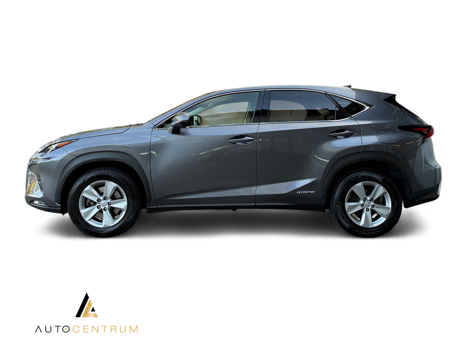 LEXUS NX 300h Excellence E-Four Automatic-image-2