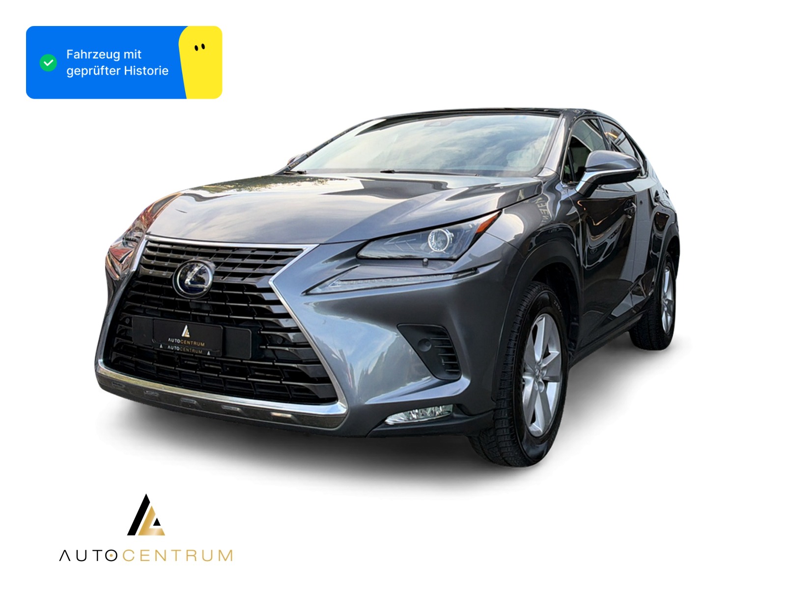 LEXUS NX 300h Excellence E-Four Automatic-image-0