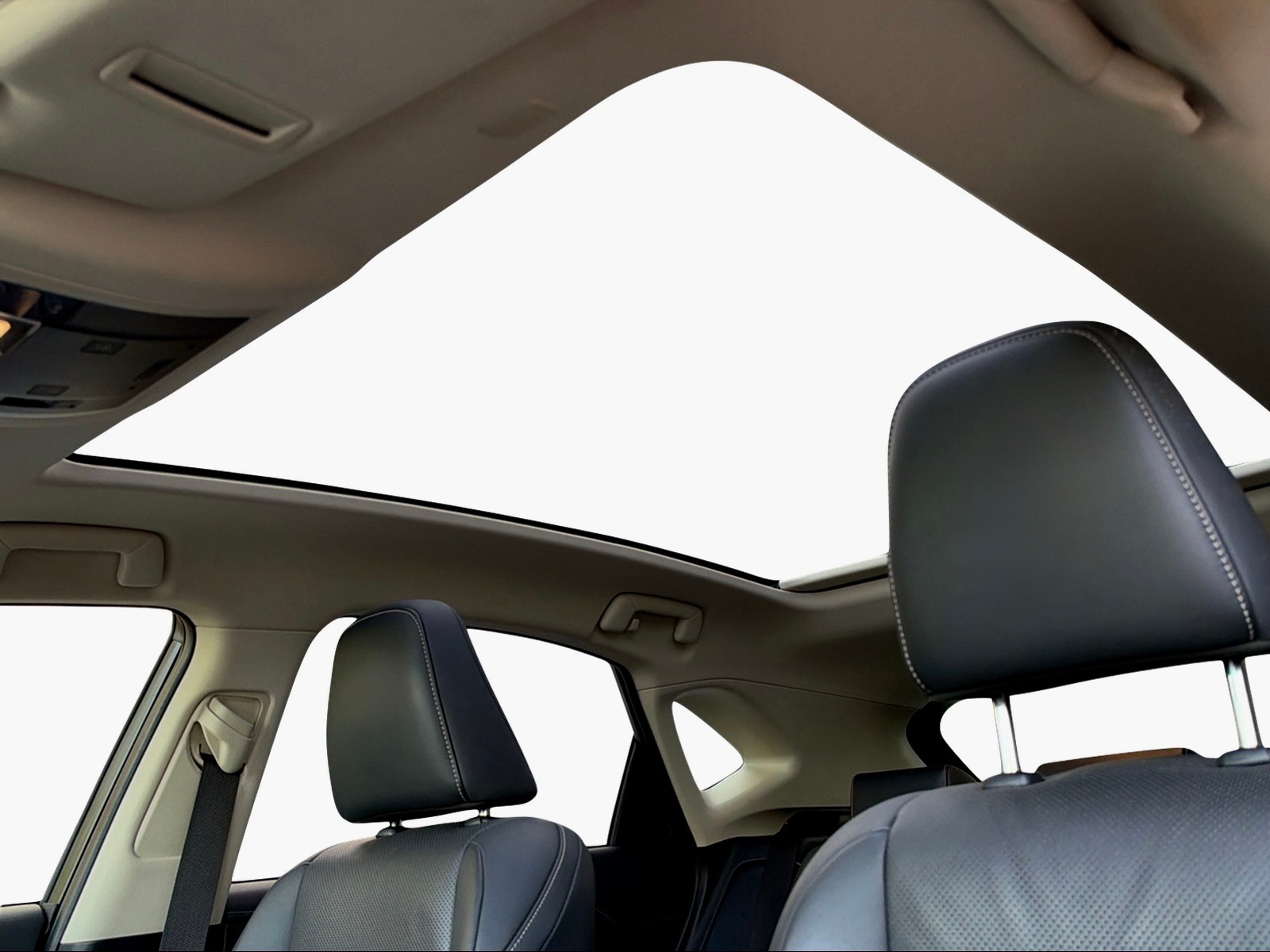 LEXUS NX 300h Excellence E-Four Automatic-image-12