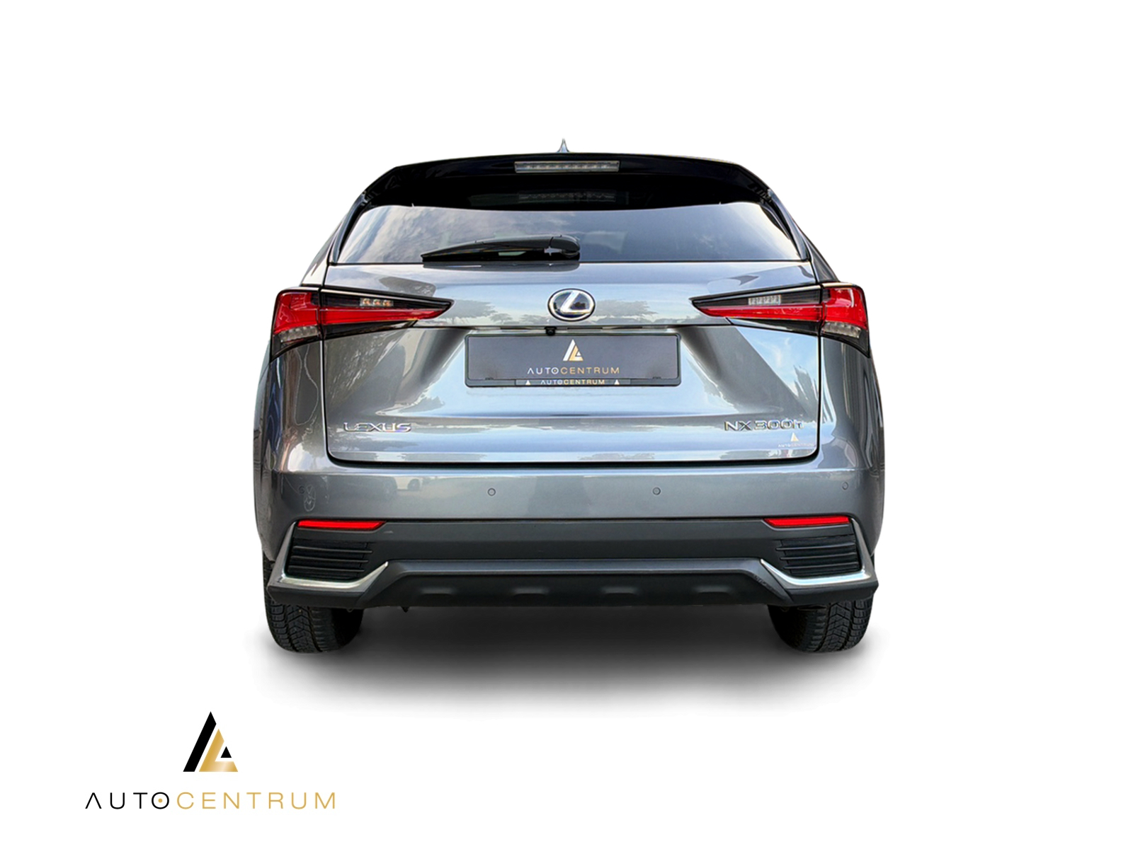 LEXUS NX 300h Excellence E-Four Automatic-image-5