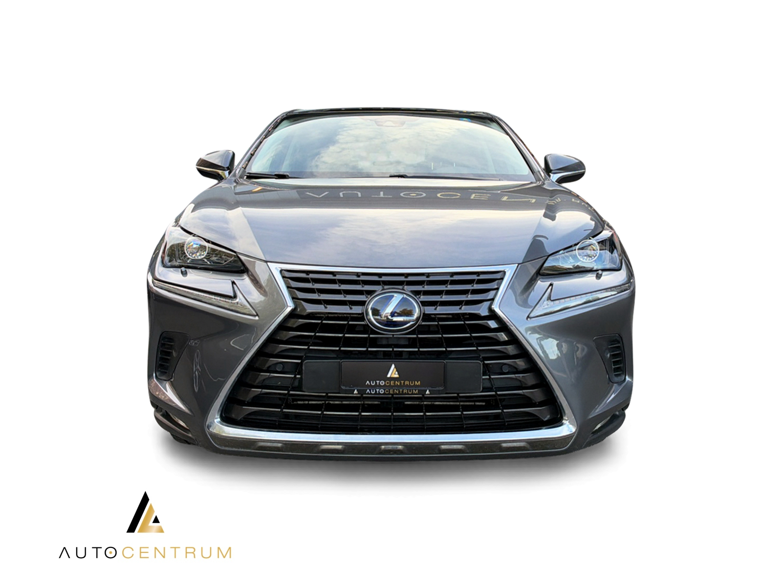 LEXUS NX 300h Excellence E-Four Automatic-image-6