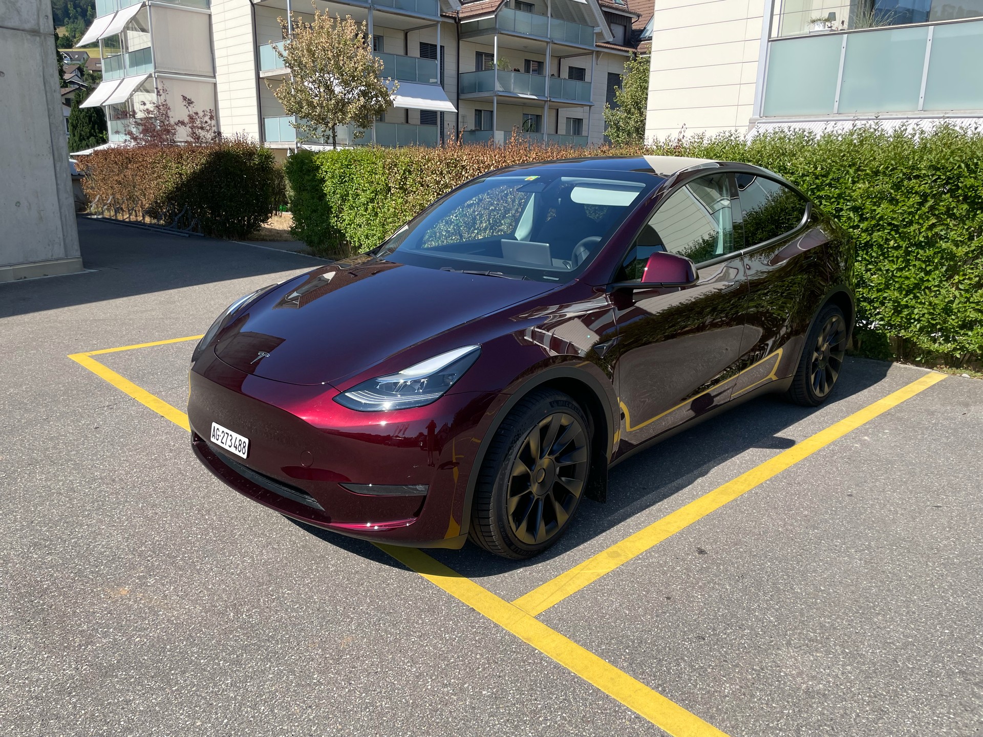 TESLA Long Range D-image-0