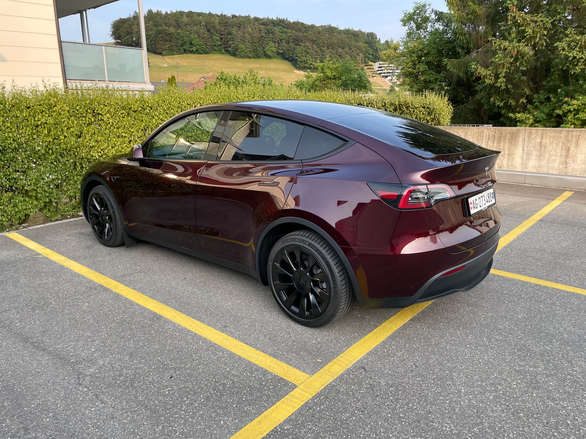 TESLA Long Range D-image-2