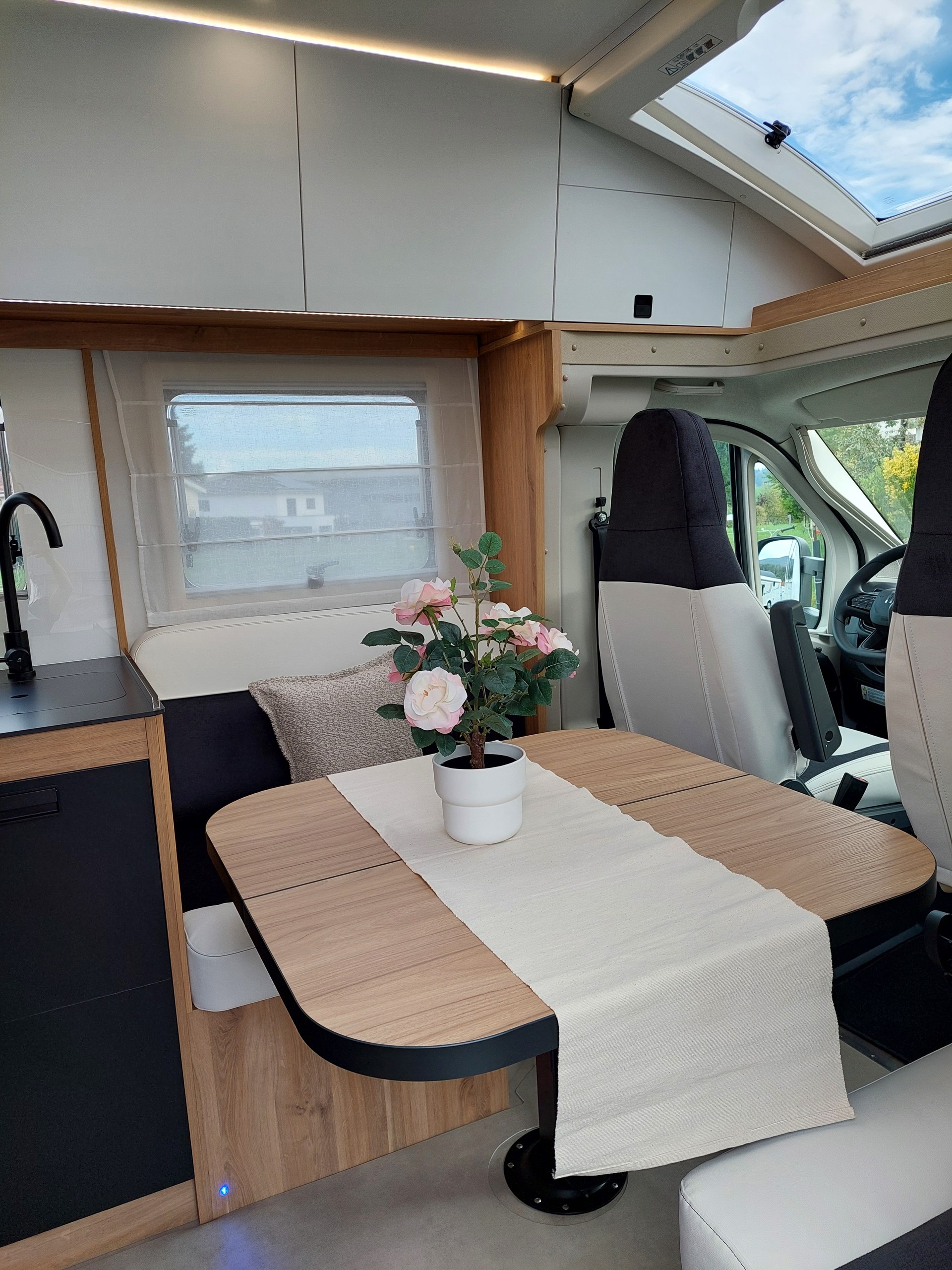 NOTIN FIAT ENVOL E719 JF "NINA"-image-6