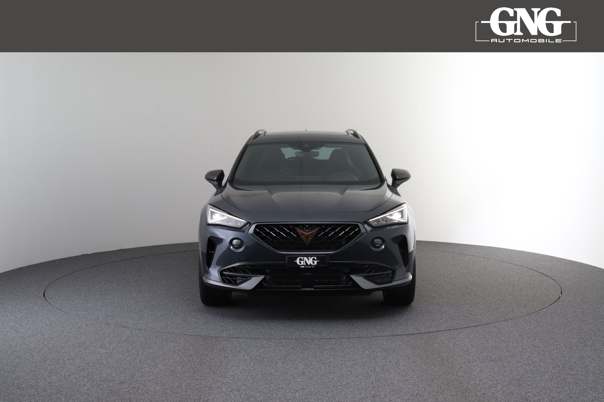 CUPRA Formentor 2.0TSI VZ 4Drive DSG-image-6