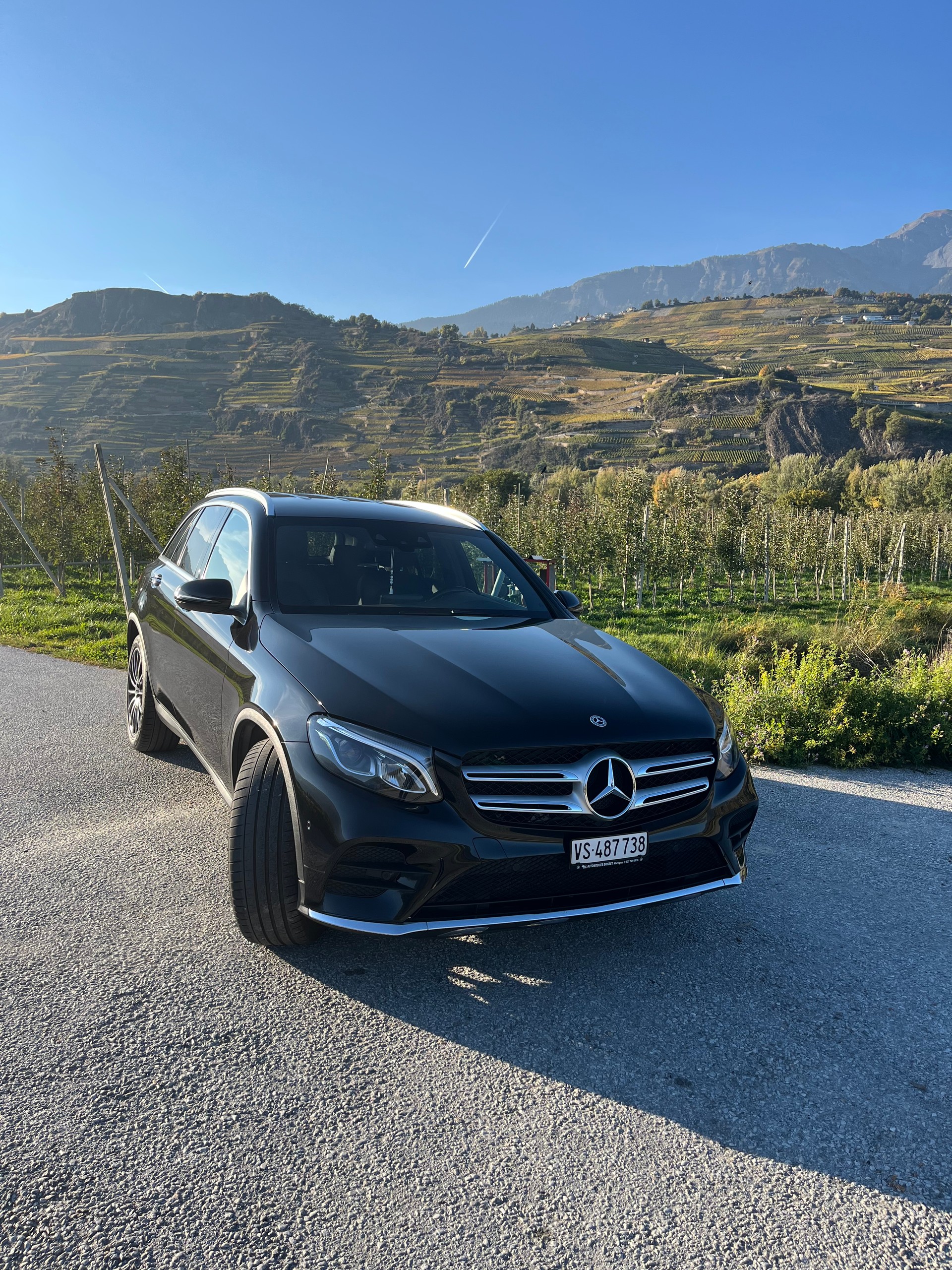 MERCEDES-BENZ GLC 250 AMG Line 4Matic 9G-Tronic-image-3