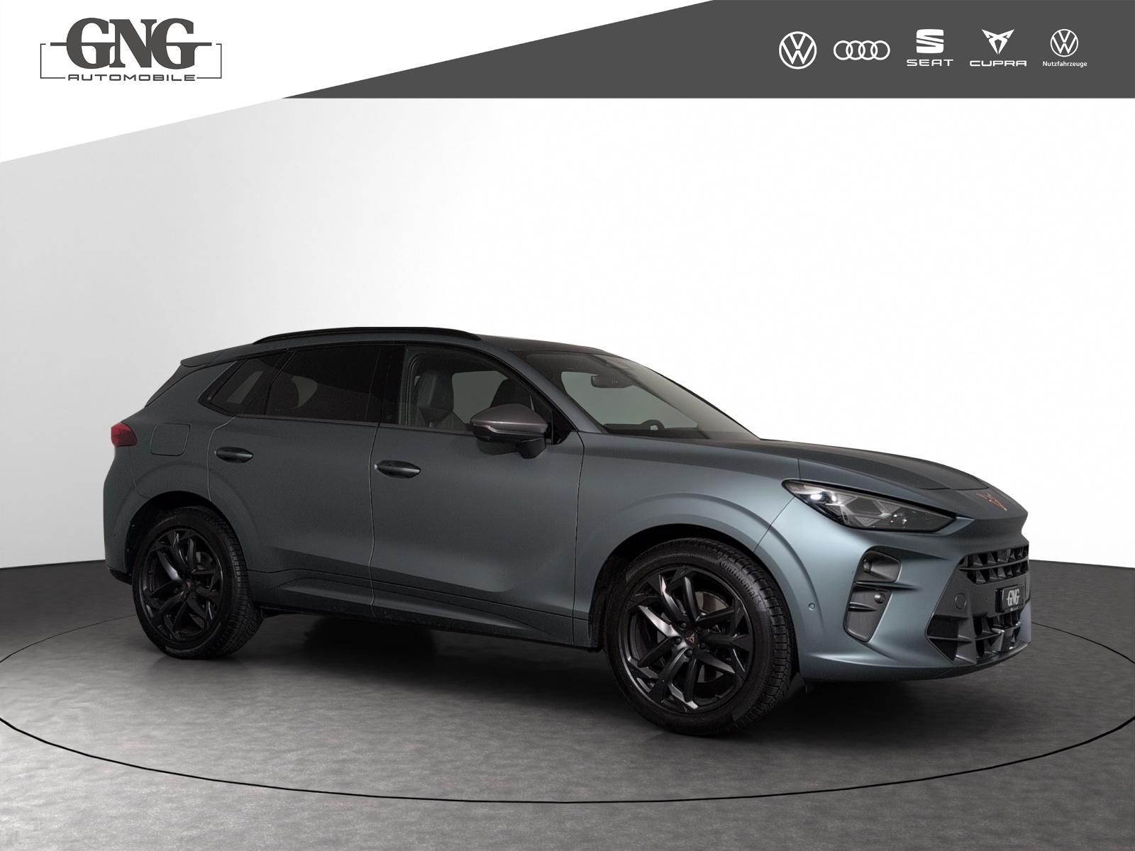 CUPRA Terramar 2.0 TSI DSG 4Drive Americas CUP-image-3