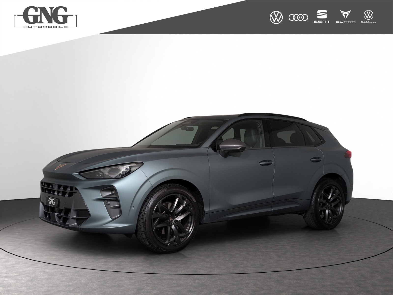 CUPRA Terramar 2.0 TSI DSG 4Drive Americas CUP-image-0