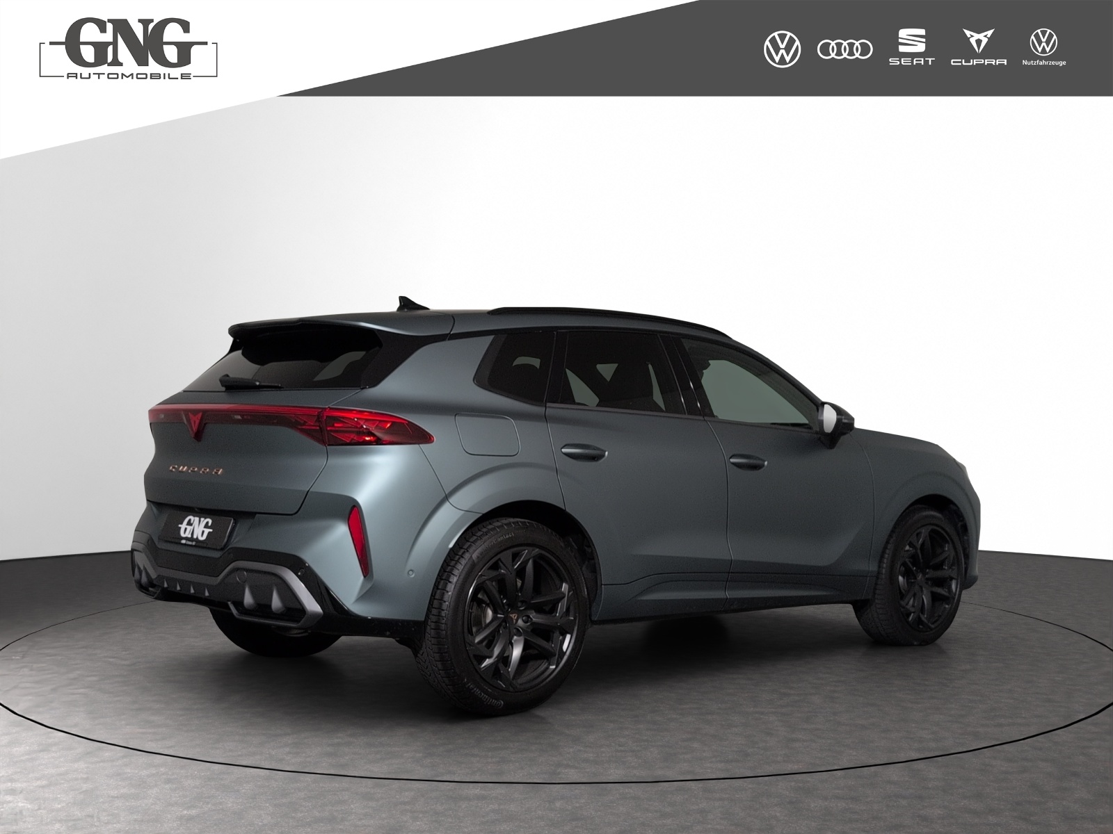 CUPRA Terramar 2.0 TSI DSG 4Drive Americas CUP-image-2