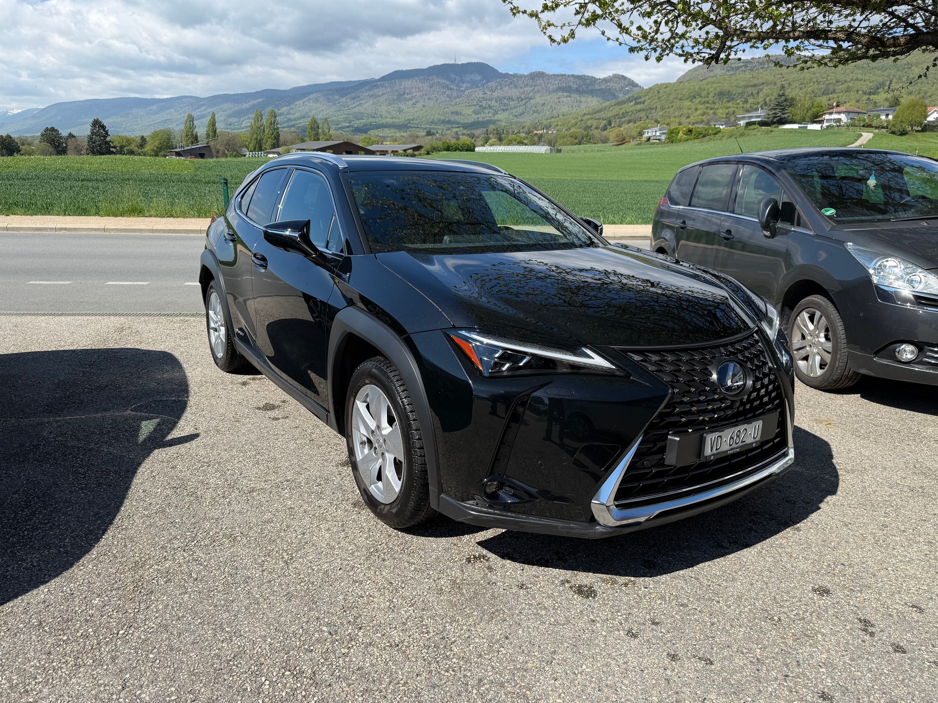 LEXUS UX 250h Launch Edition Excellence AWD Automatic-image-1