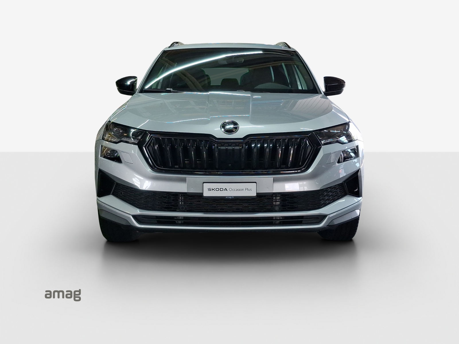 SKODA Karoq 2.0 TSI SportLine 4x4 DSG-image-6