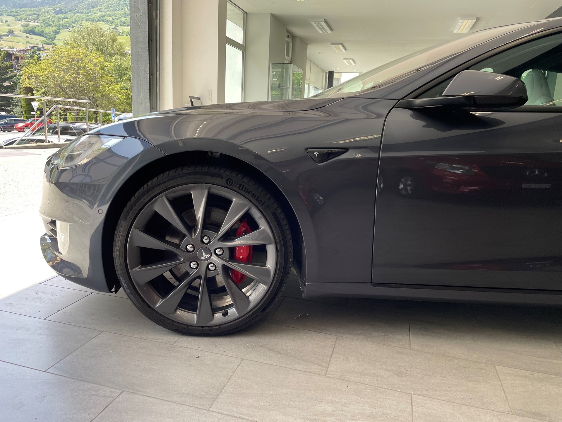 TESLA Model S Performance-image-2