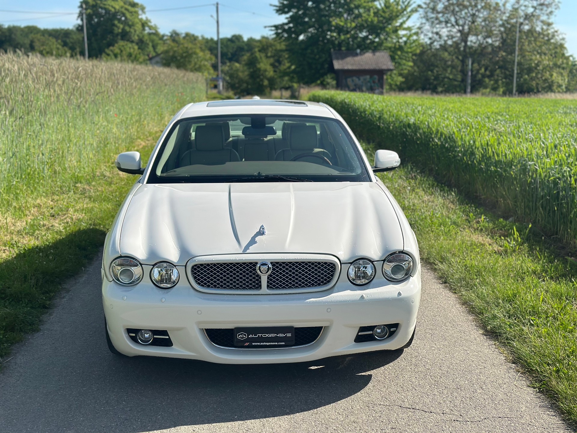 JAGUAR XJ8 3.5 V8 Executive-image-8
