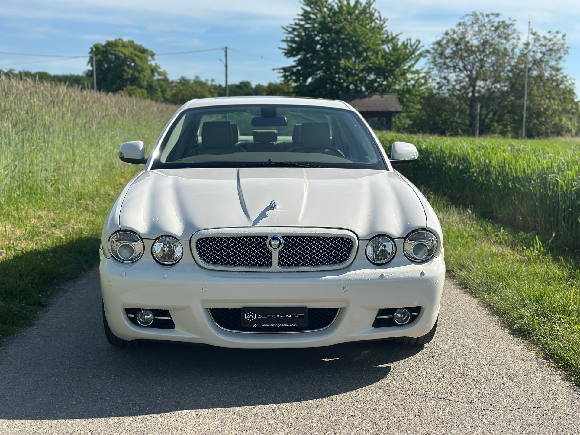 JAGUAR XJ8 3.5 V8 Executive-image-4