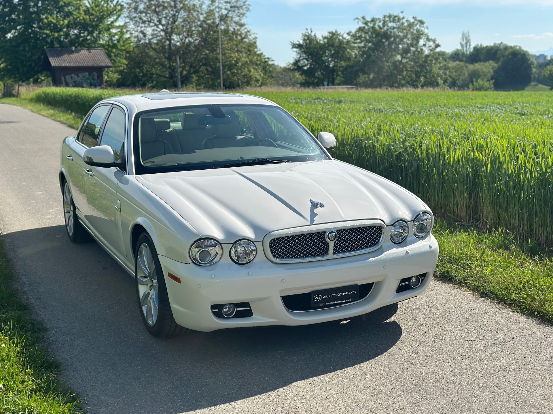 JAGUAR XJ8 3.5 V8 Executive-image-3