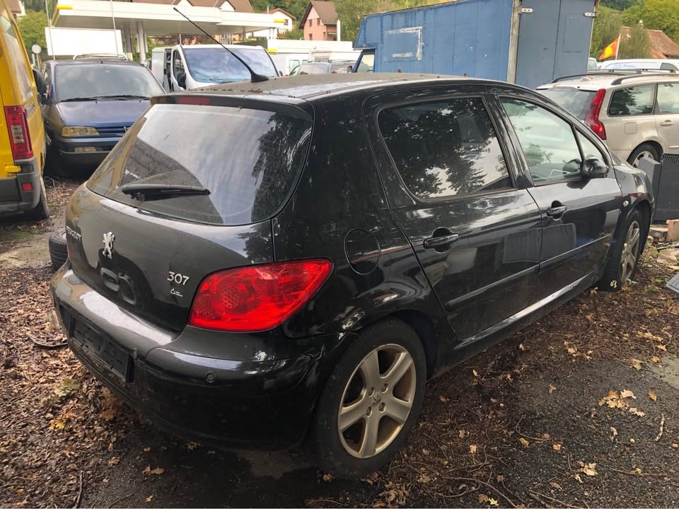 PEUGEOT 307 2.0 16V Platinum Edition-image-1