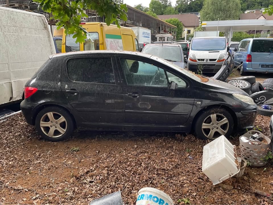 PEUGEOT 307 2.0 16V Platinum Edition-image-4