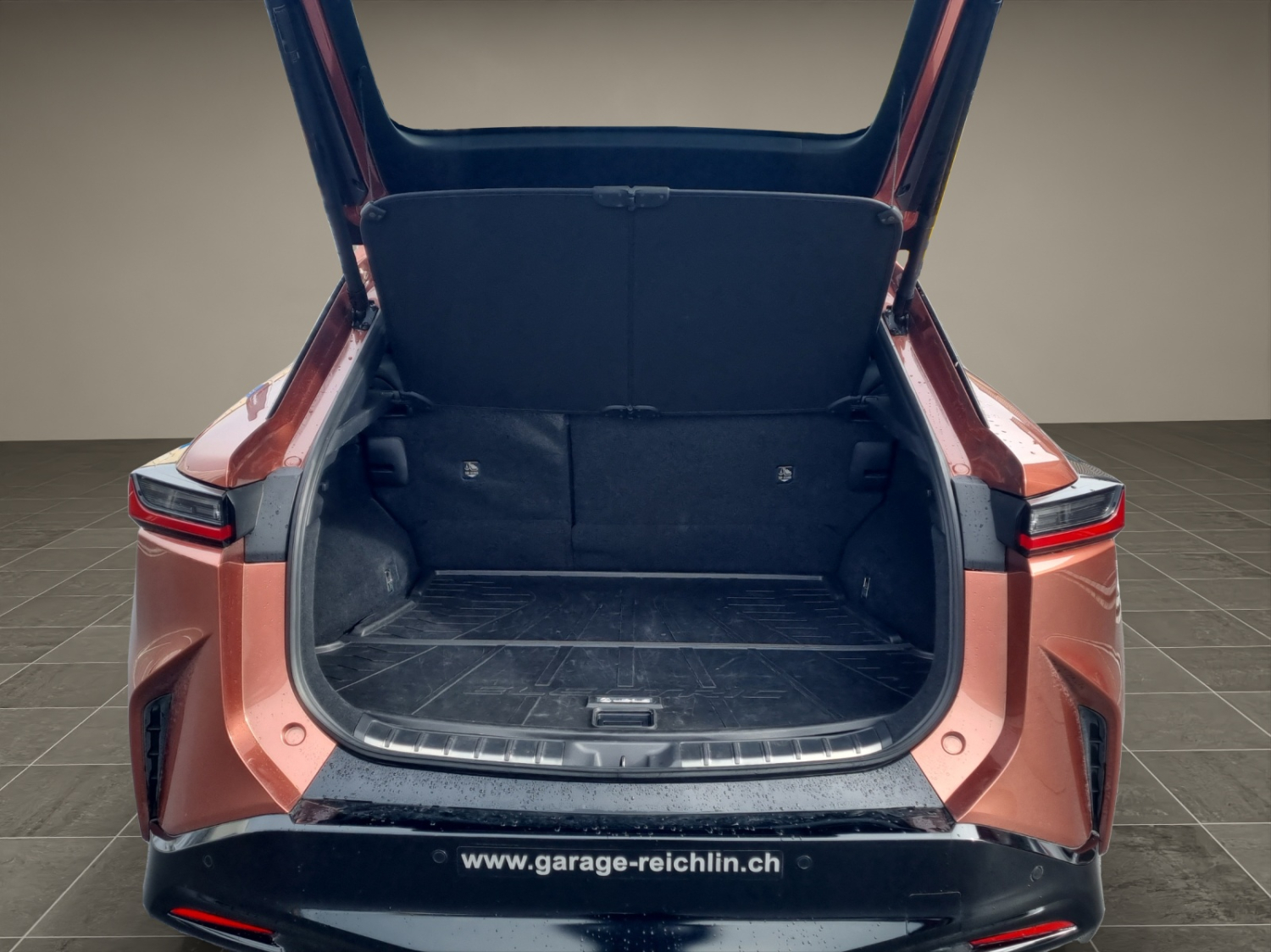 LEXUS RZ 450e Excellence-image-13