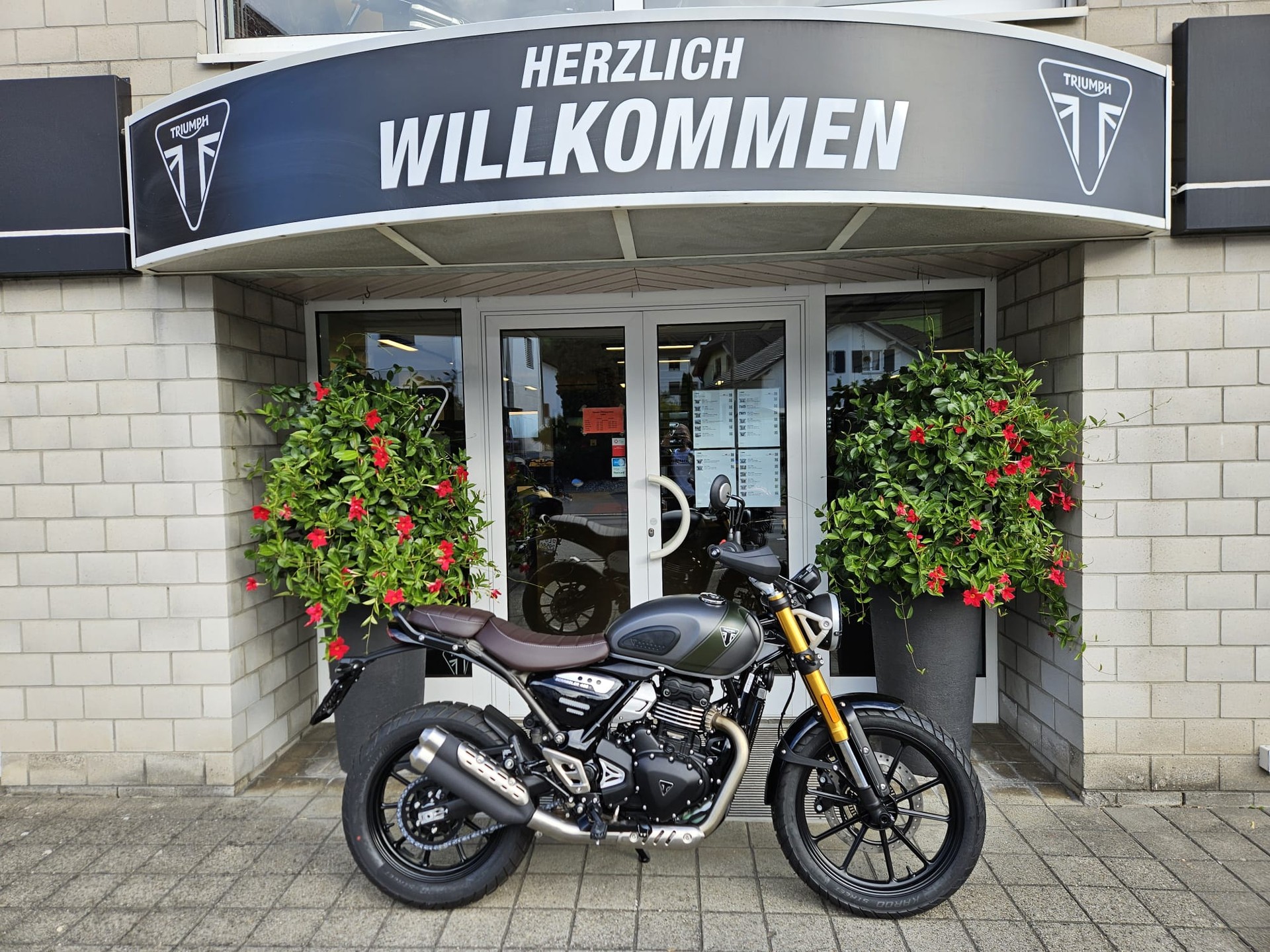 TRIUMPH Scrambler 400 X