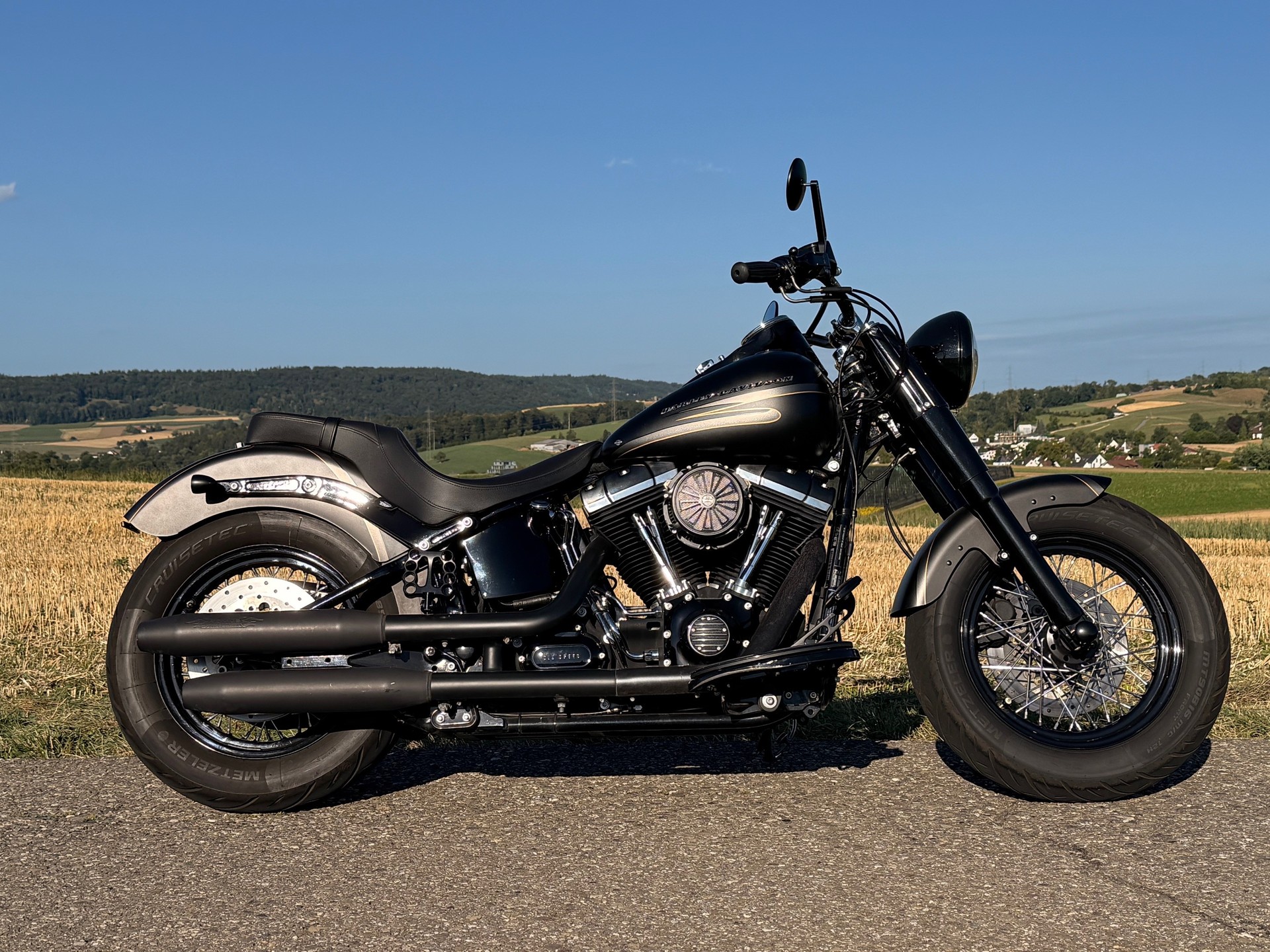 HARLEY-DAVIDSON FLS Softail Slim ABS-showroom-element-3