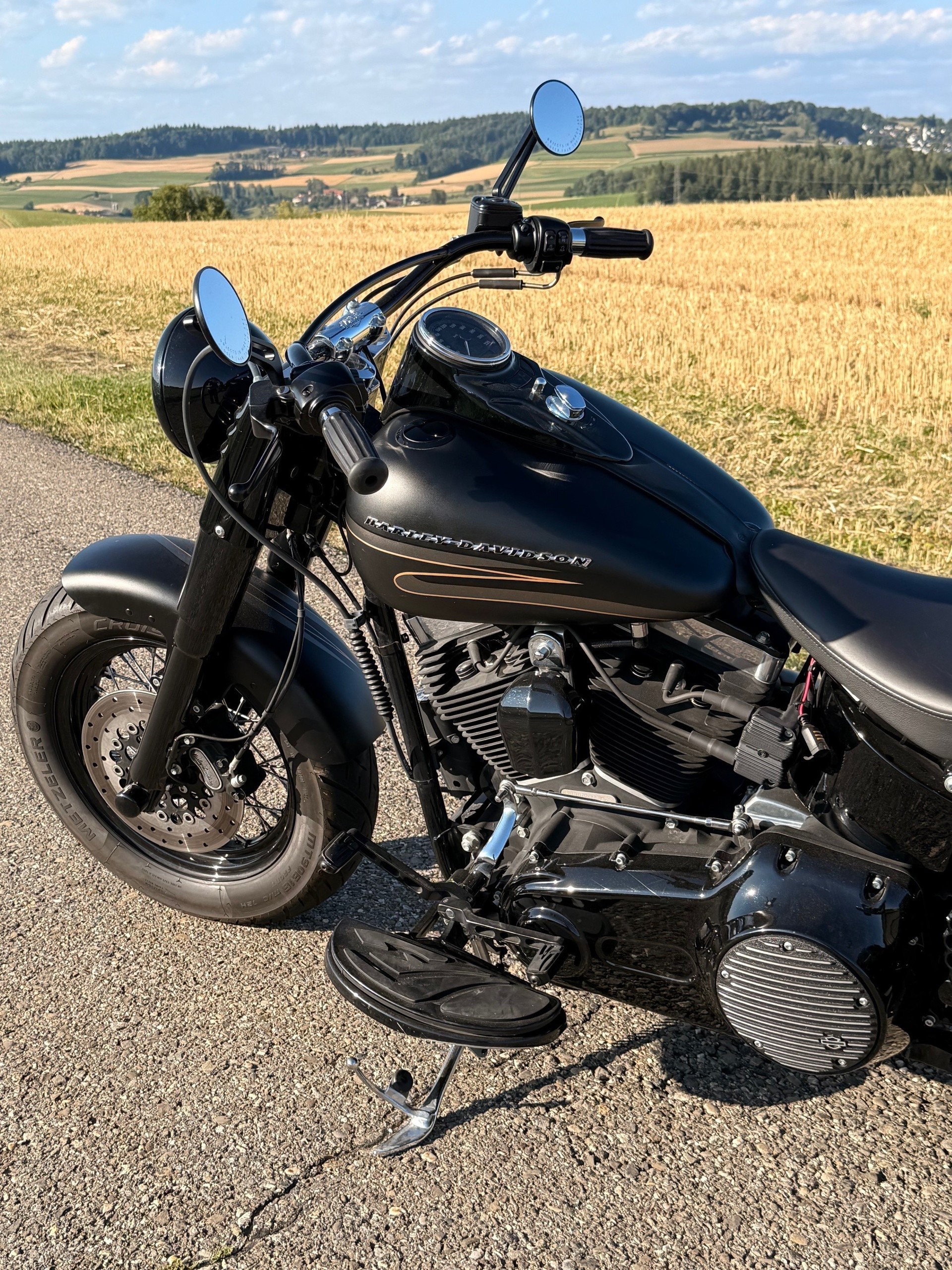 HARLEY-DAVIDSON FLS Softail Slim ABS-image-12