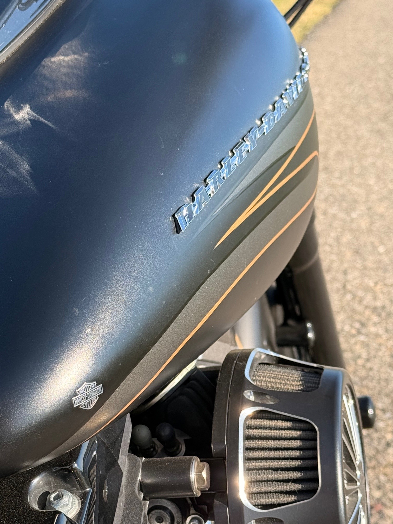 HARLEY-DAVIDSON FLS Softail Slim ABS-image-7