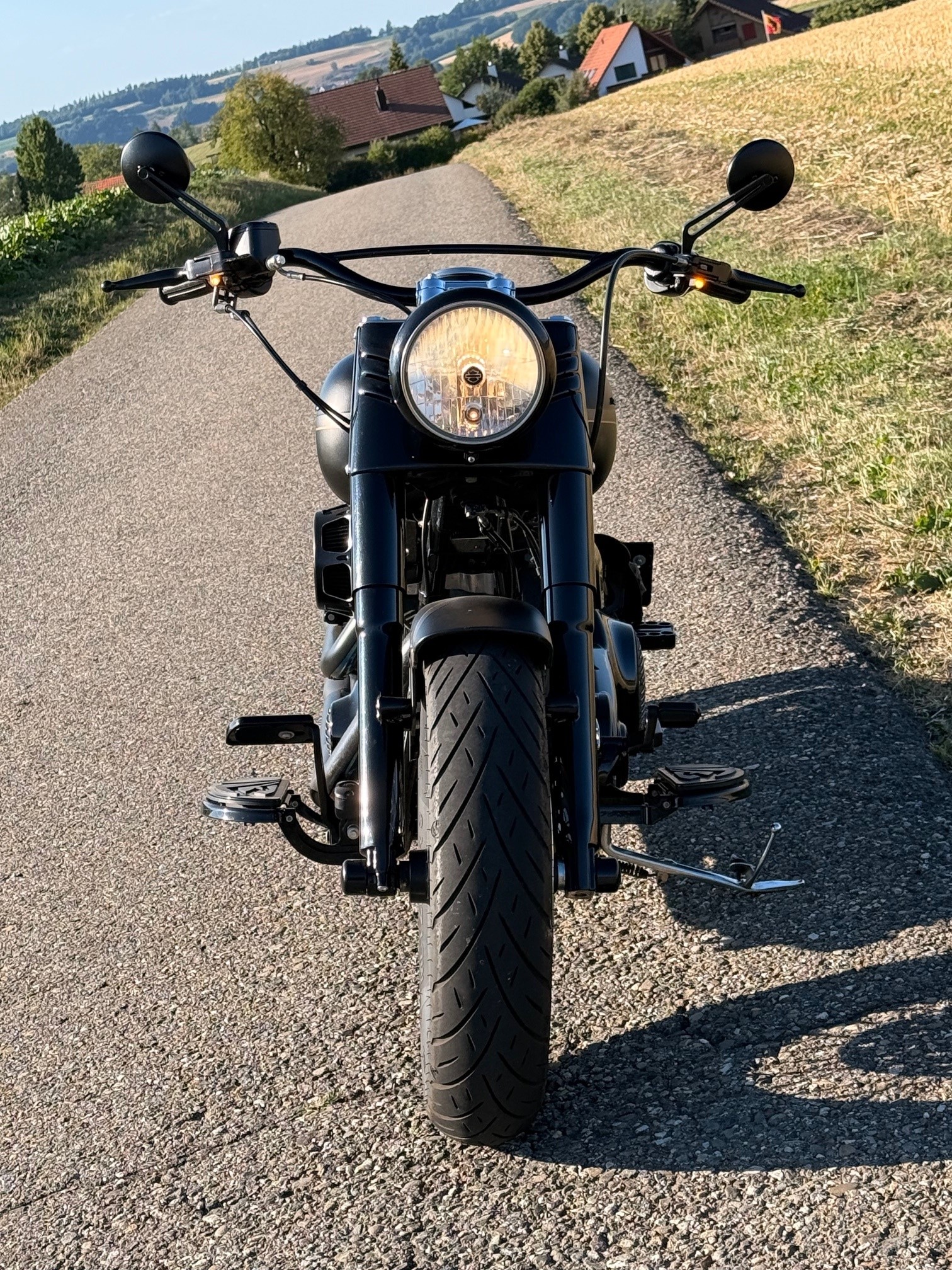 HARLEY-DAVIDSON FLS Softail Slim ABS-image-4