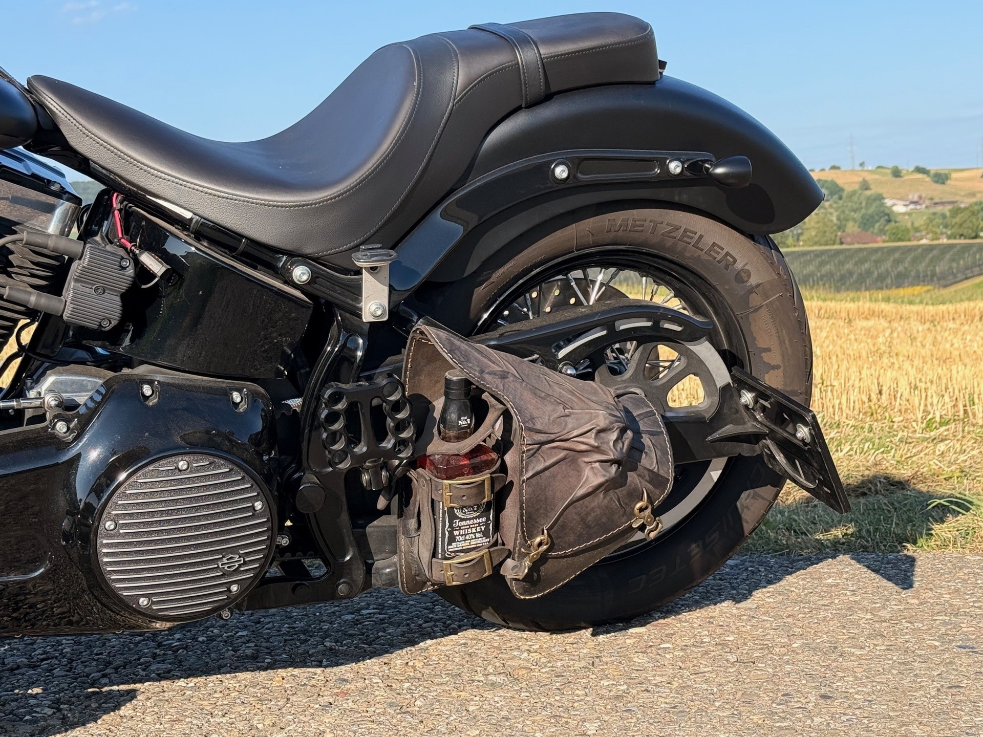 HARLEY-DAVIDSON FLS Softail Slim ABS-image-9
