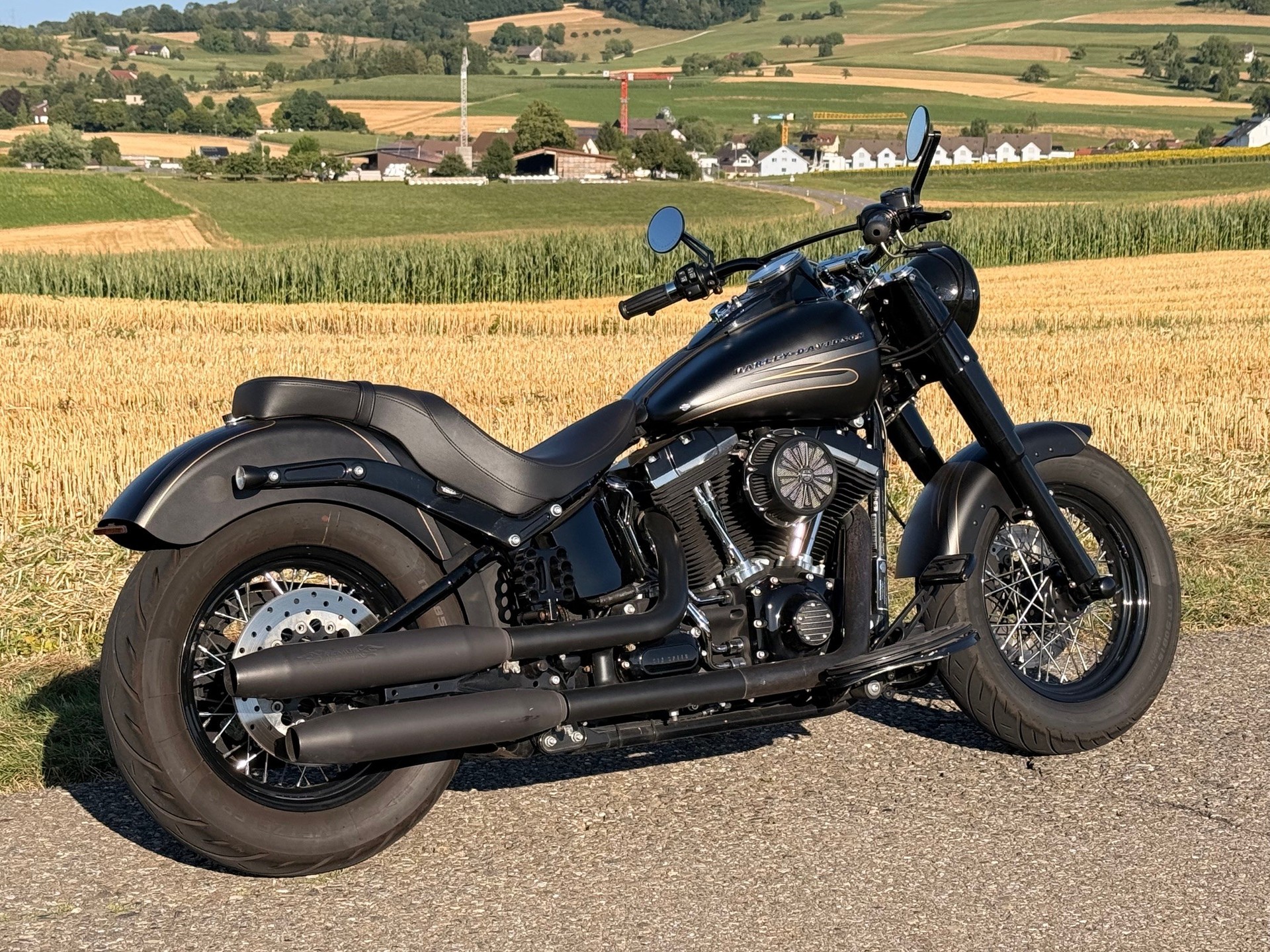 HARLEY-DAVIDSON FLS Softail Slim ABS-showroom-element-1