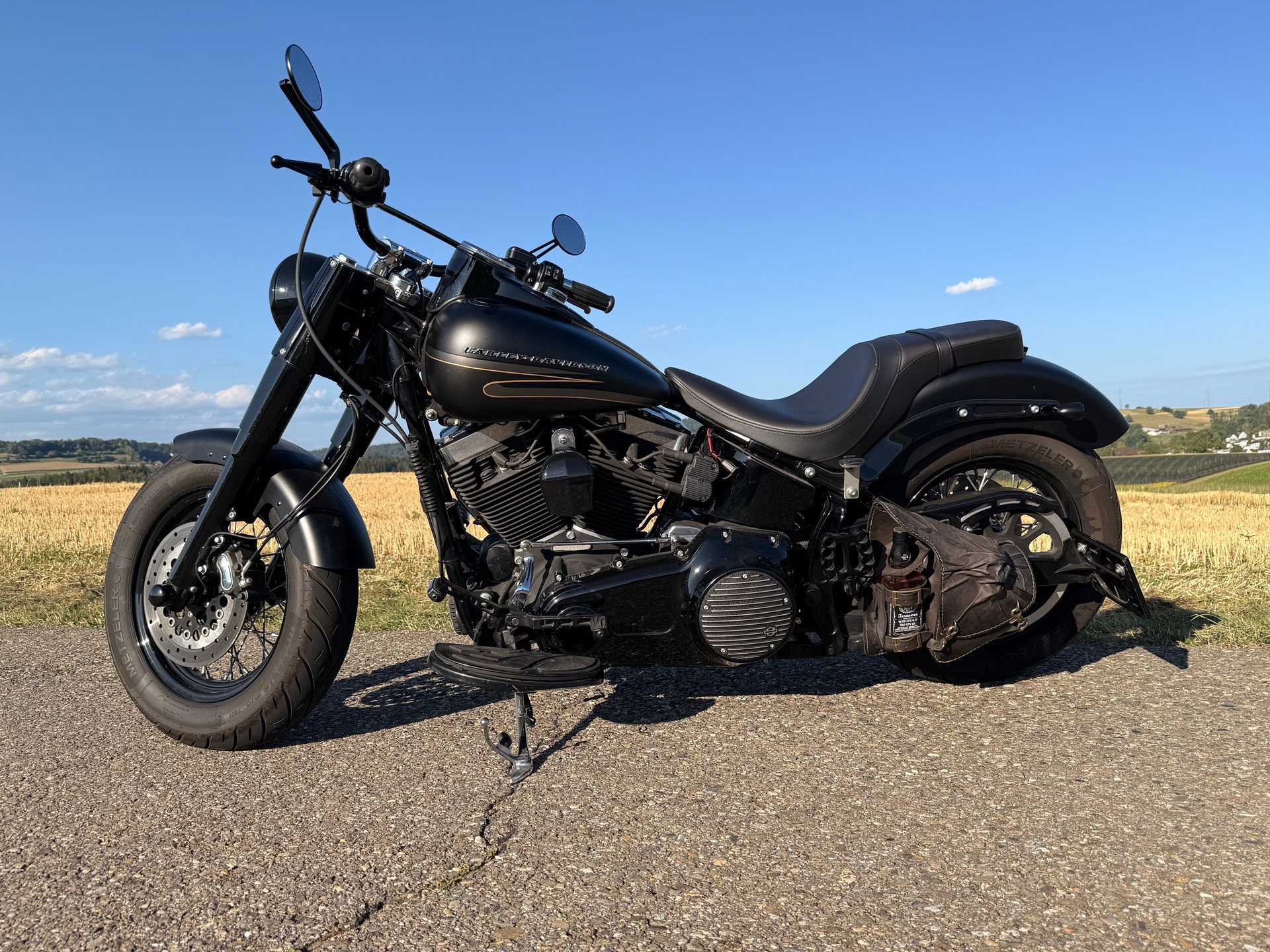 HARLEY-DAVIDSON FLS Softail Slim ABS-image-8
