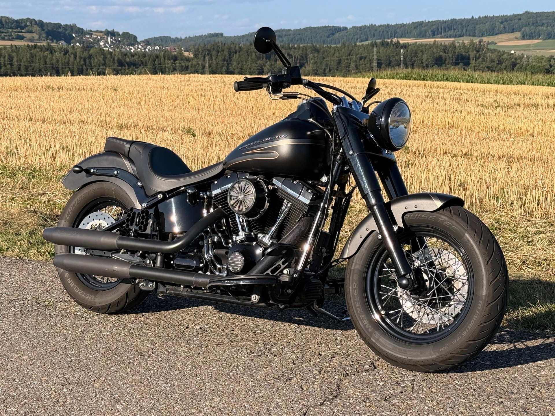 HARLEY-DAVIDSON FLS Softail Slim ABS-showroom-element-2