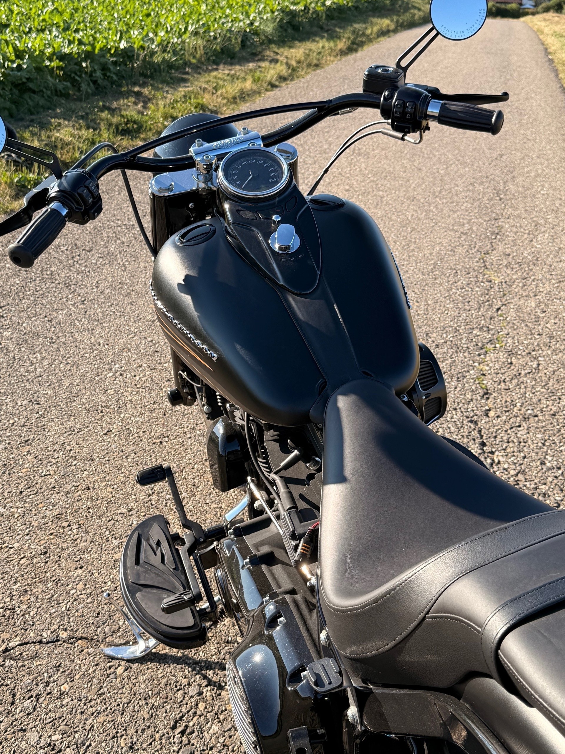 HARLEY-DAVIDSON FLS Softail Slim ABS-image-11